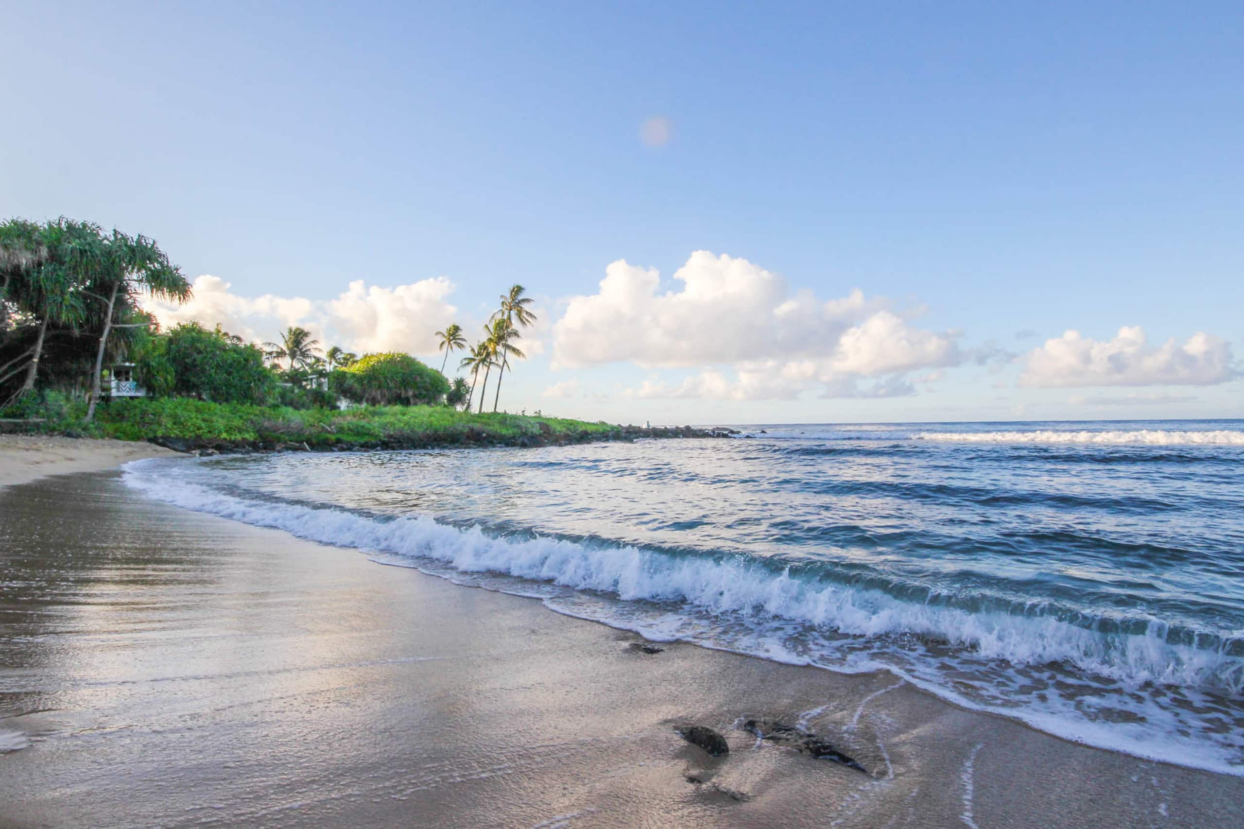 Condo in Koloa · ★4.72 · 1 bedroom · 1 bed · 1 bath - Image 39