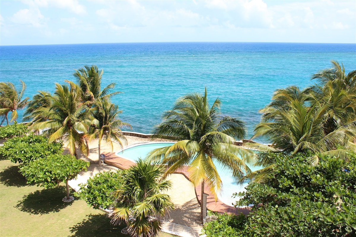The image showcases a tranquil view of the Caribbean Sea, featuring vibrant turquoise water under a clear sky. Lush green palm trees frame the scene, while a swimming pool is nestled among landscaped gardens, inviting relaxation and outdoor enjoyment.