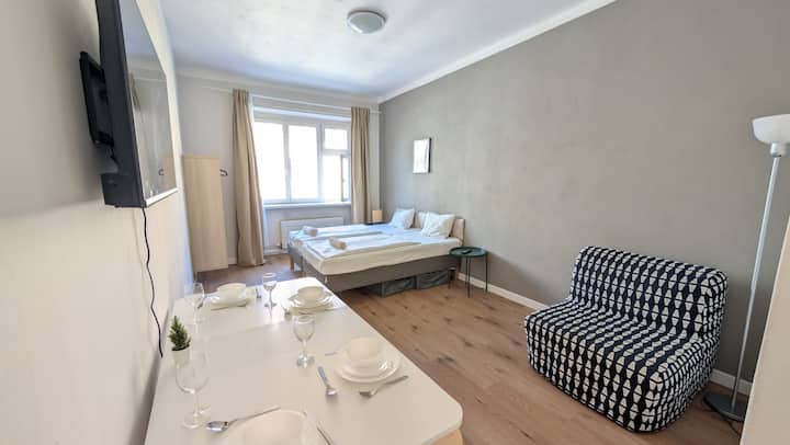 Apartment In Zizkov (302) - Prague