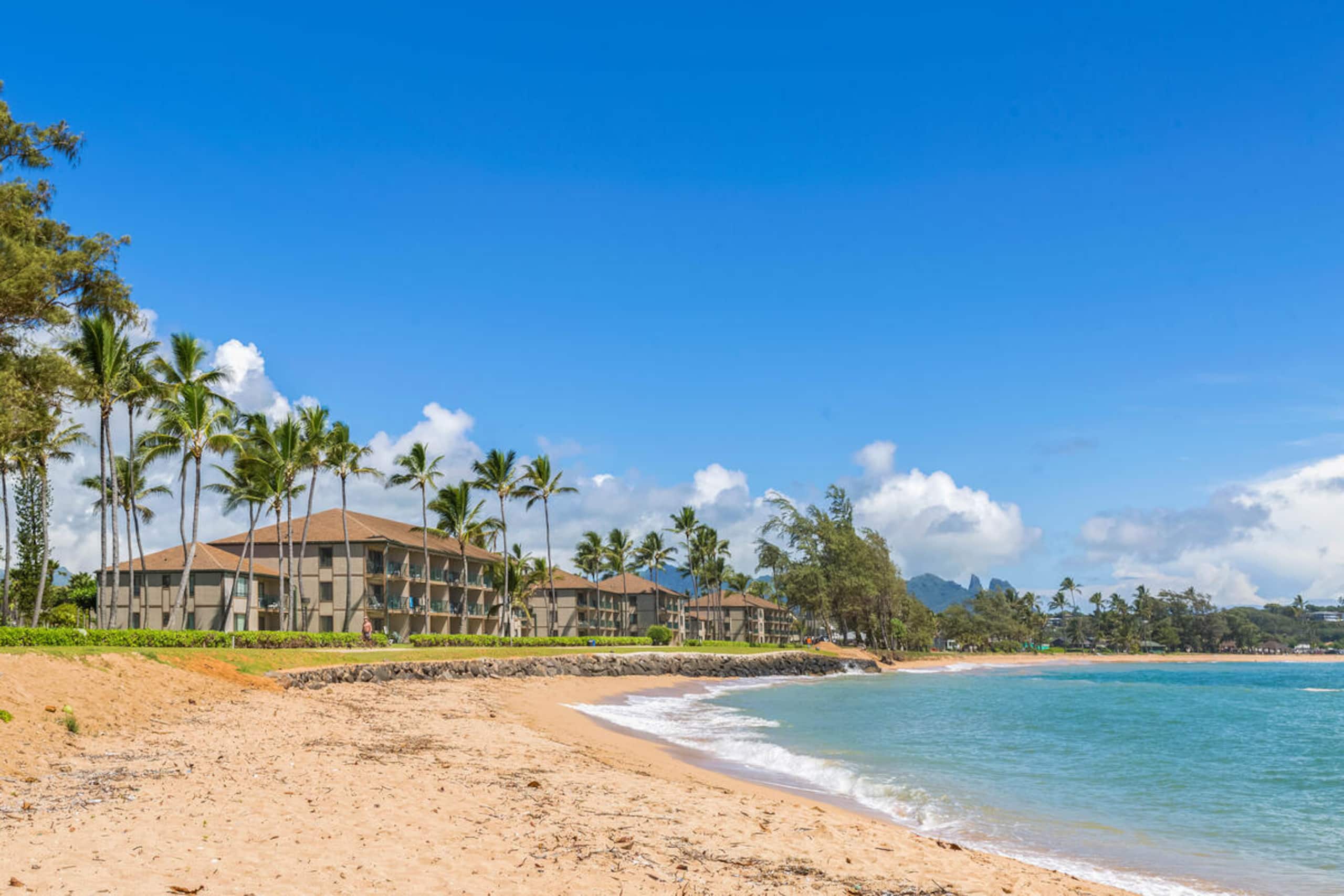 Condo in Kapaa · ★4.48 · 1 bedroom · 2 beds · 1 shared bath - Image 14