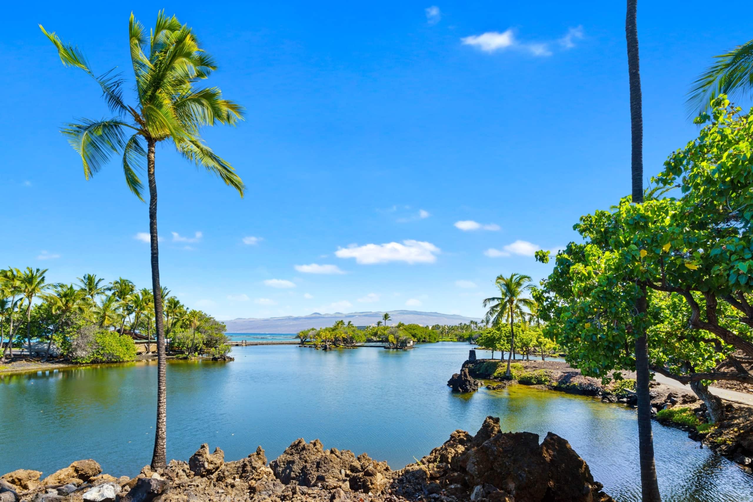Townhouse in Waimea · ★4.8 · 3 bedrooms · 6 beds · 3 shared baths - Image 59