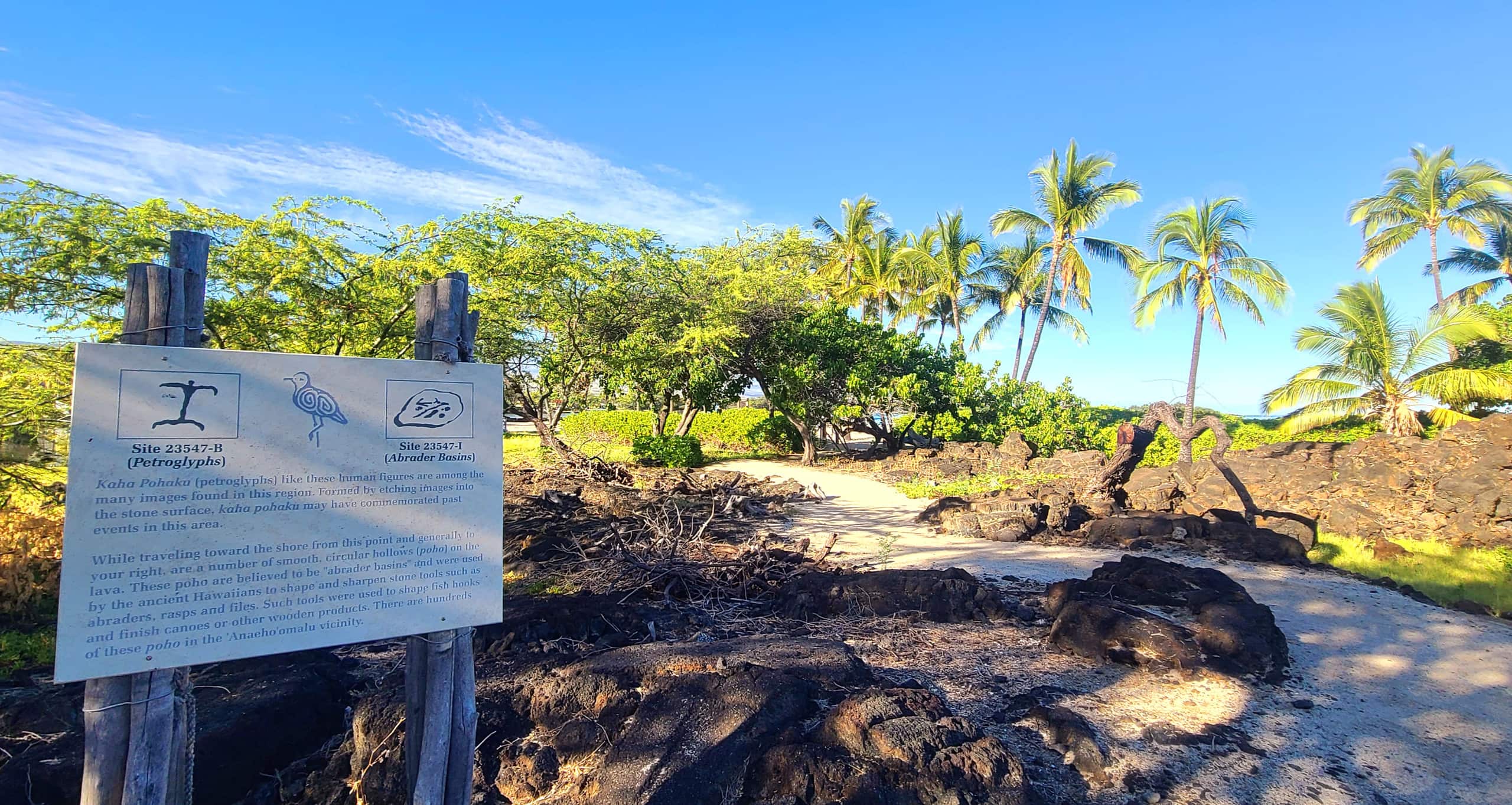 Condo in Waikoloa Village · ★4.88 · 2 bedrooms · 4 beds · 2 baths - Photo 47
