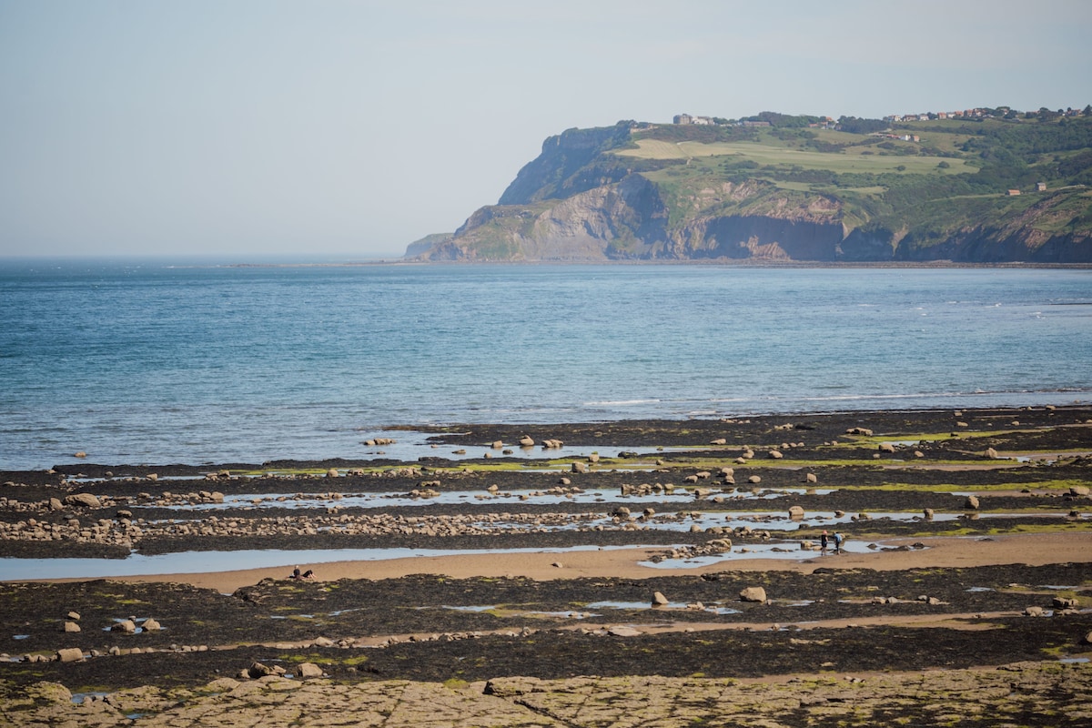 A wide view of the shoreline reveals a rocky beach area with visible rock pools at low tide. The calm sea stretches towards a distant cliff, framed by lush greenery, under a clear sky.