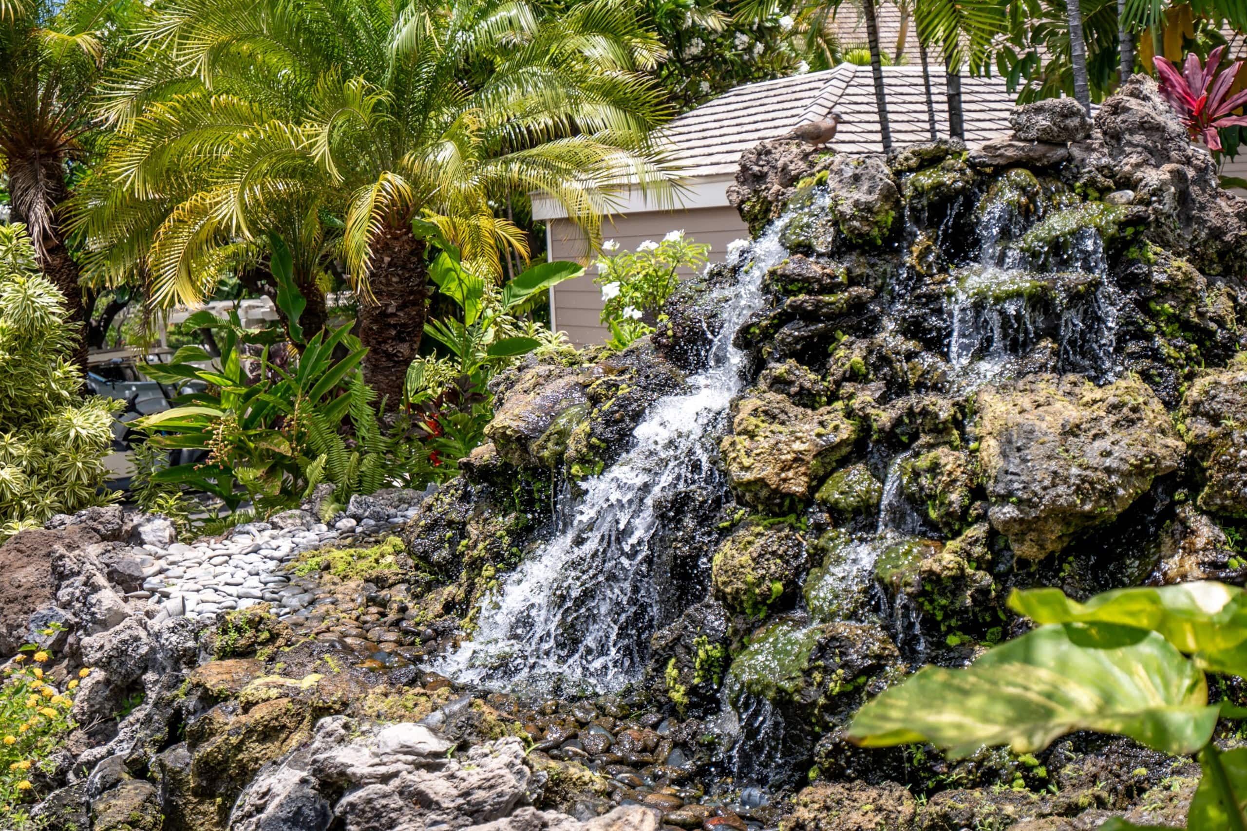 Condo in Kihei · ★4.69 · 1 bedroom · 2 beds · 2 private baths - Image 35