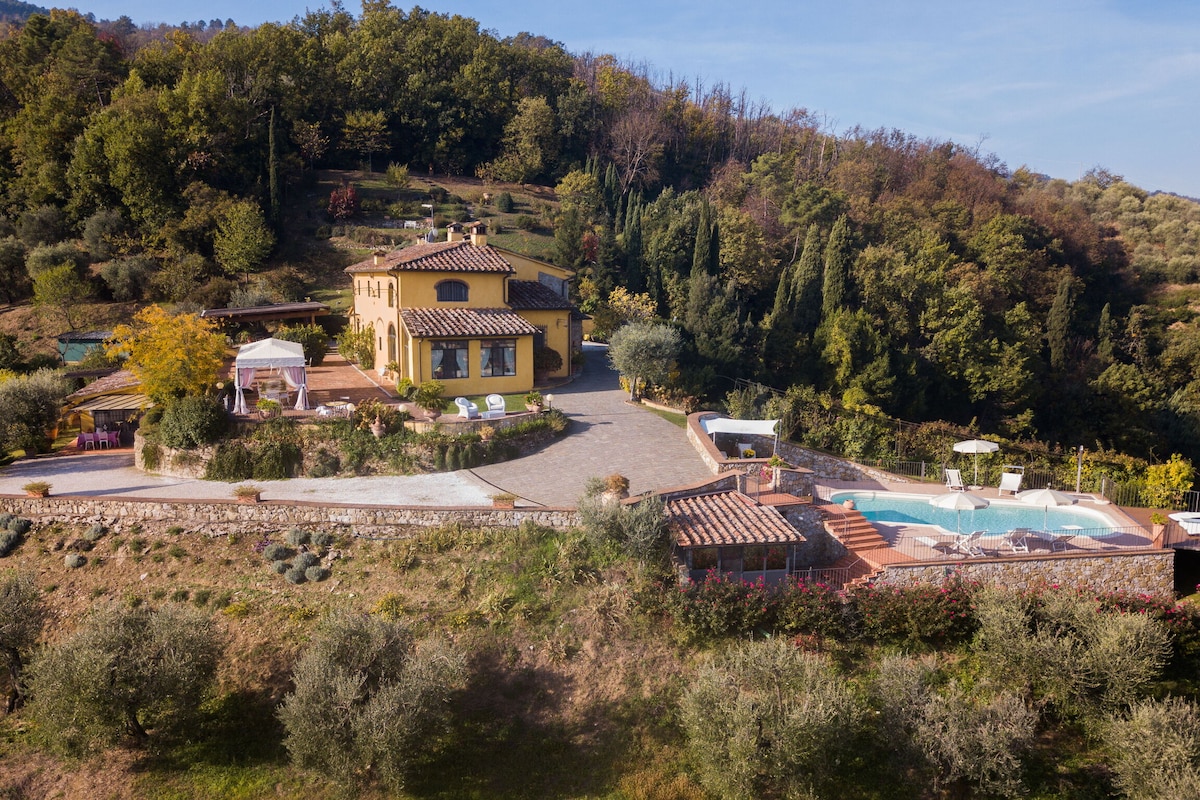 The villa is nestled within a lush hillside landscape, surrounded by olive trees. A spacious outdoor area features a private swimming pool, lounge chairs, and dining spaces. The structure is designed with traditional Tuscan elements, offering a charming view of the serene countryside.