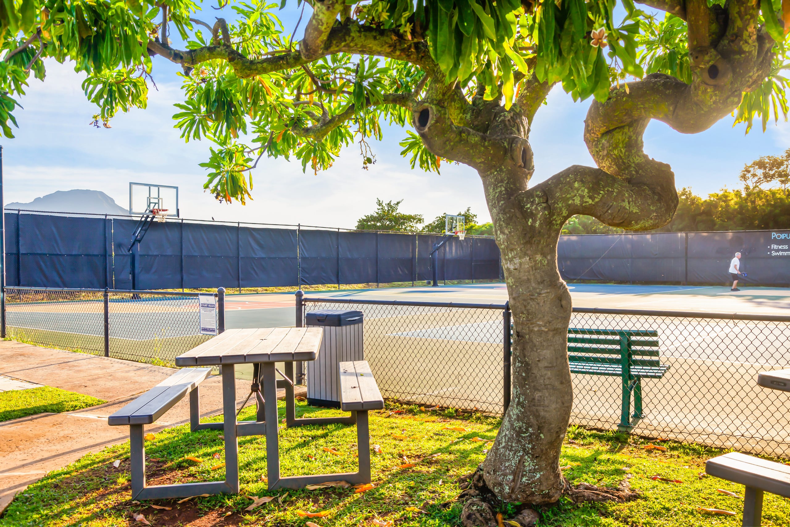Home in Koloa · ★5.0 · 4 bedrooms · 4 beds · 3 baths - Photo 41