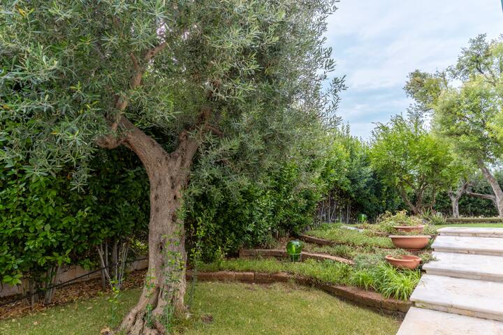 Villa Poggio Verde gallery image 2