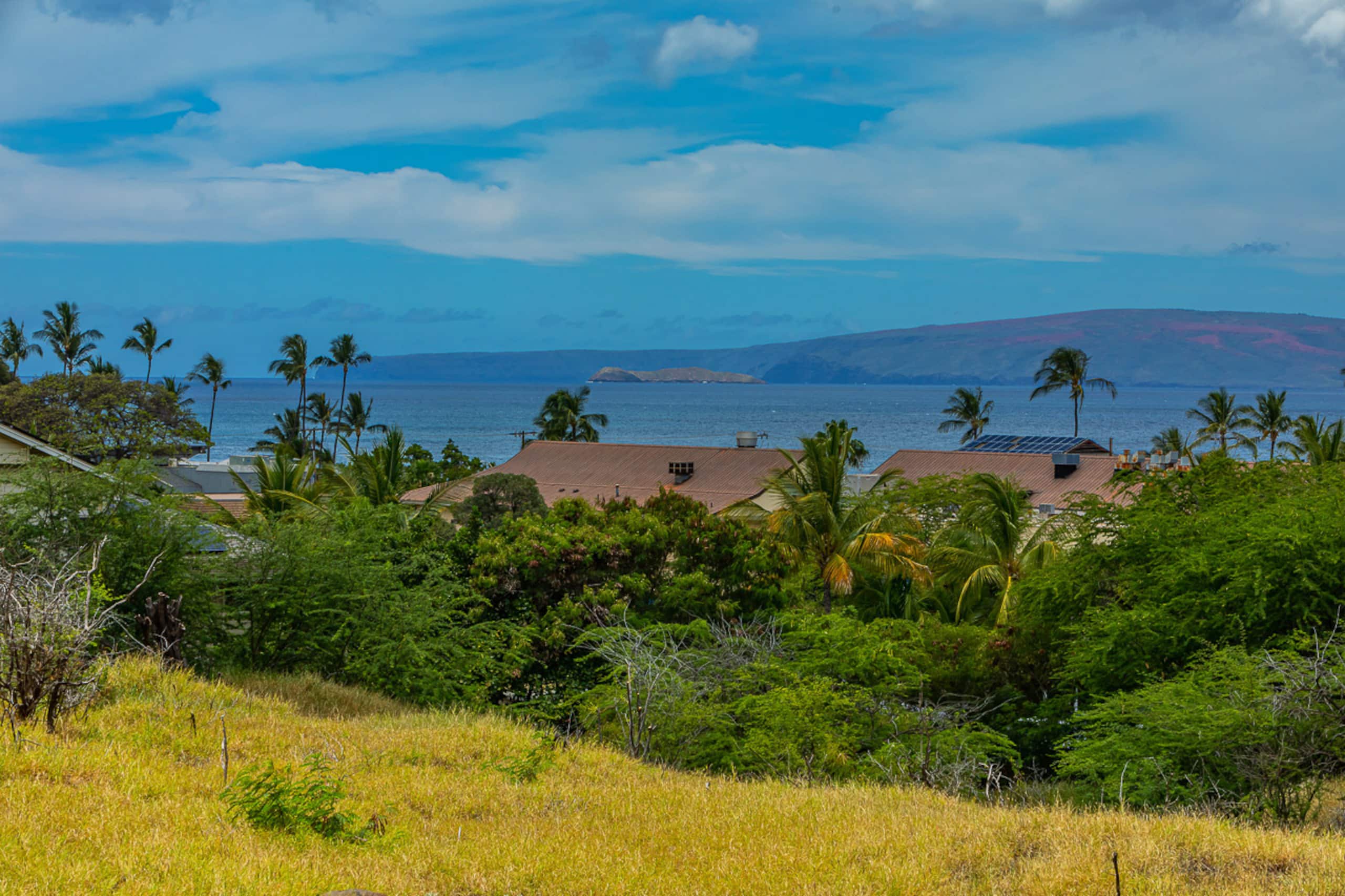 Condo in Kihei · ★4.89 · 1 bedroom · 1 bed · 1 bath - Image 10