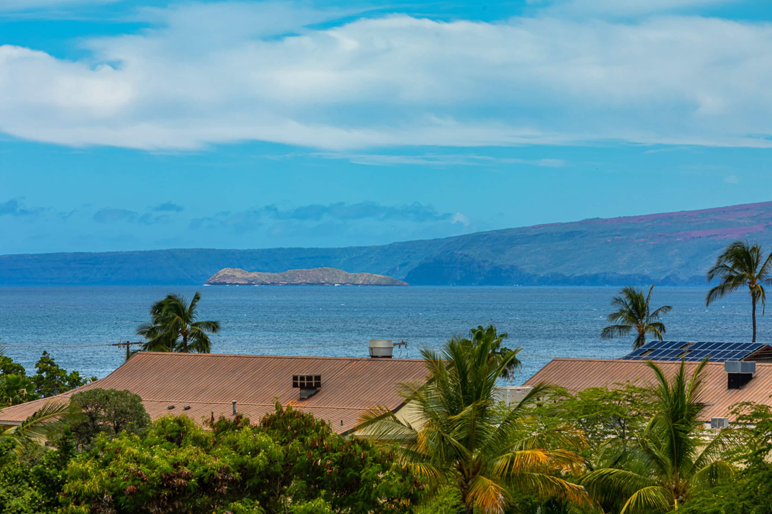 Condo in Kihei · ★4.89 · 1 bedroom · 1 bed · 1 bath - Image 11