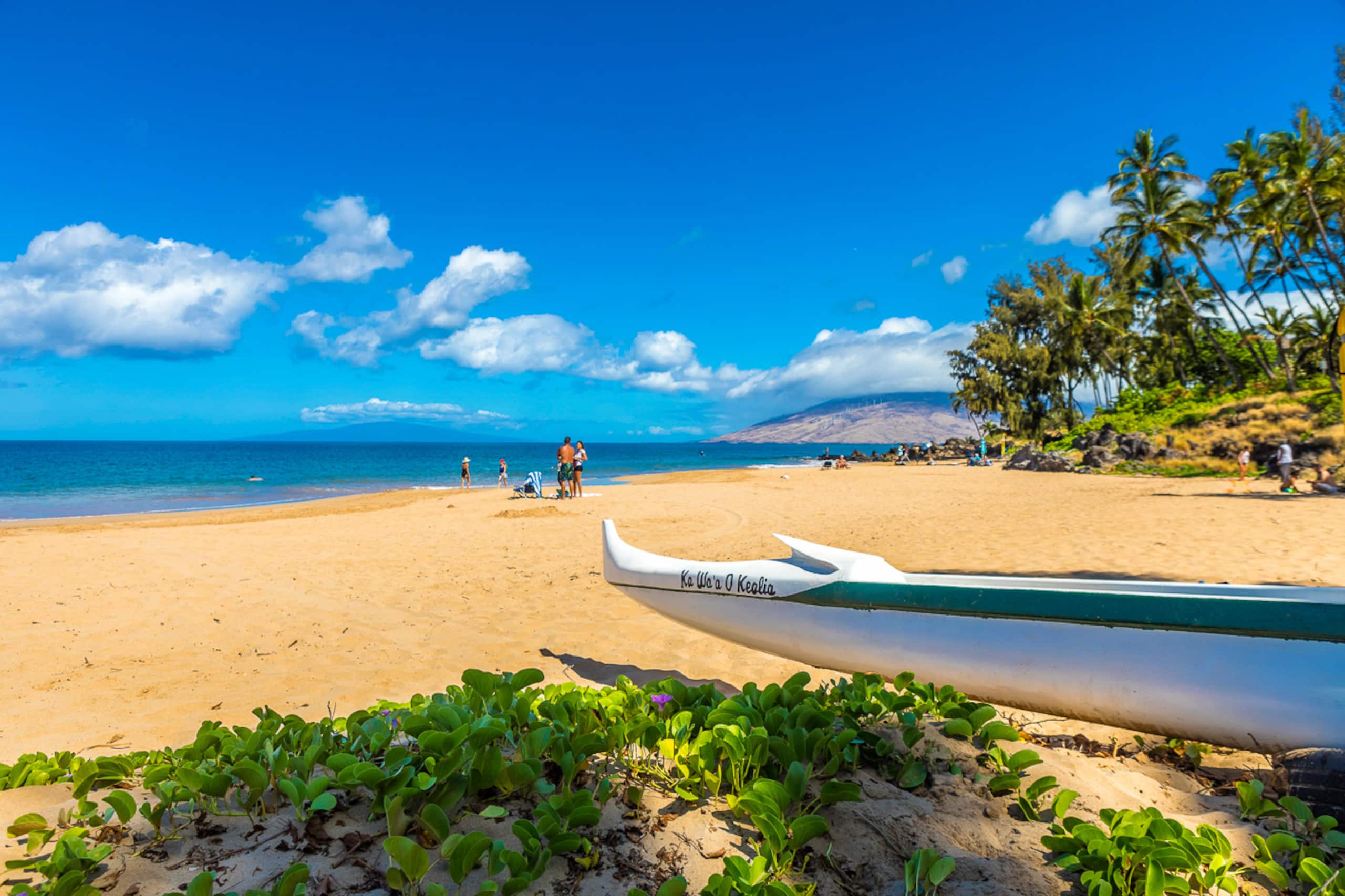 Condo in Kihei · ★4.89 · 1 bedroom · 1 bed · 1 bath - Image 44