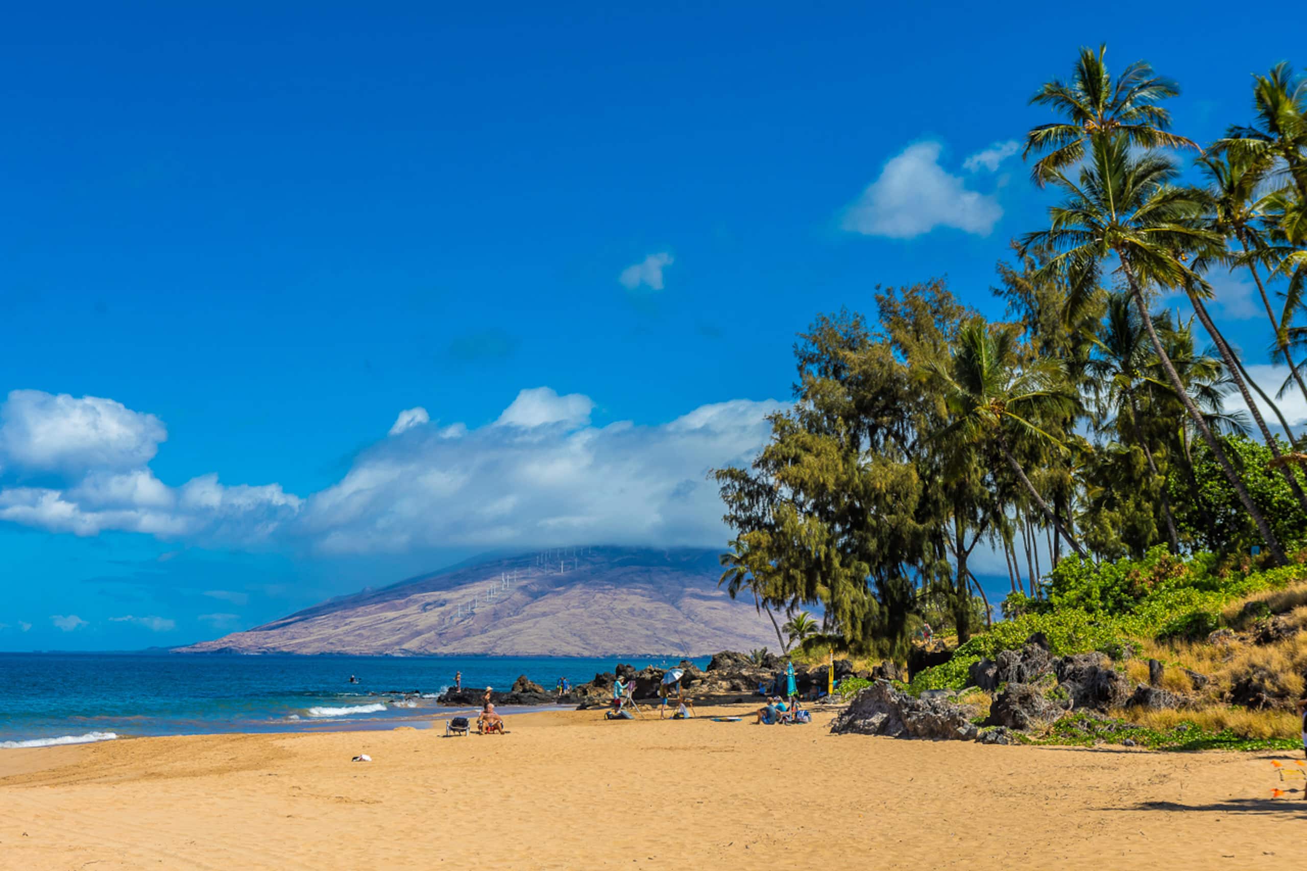 Condo in Kihei · ★4.89 · 1 bedroom · 1 bed · 1 bath - Image 55