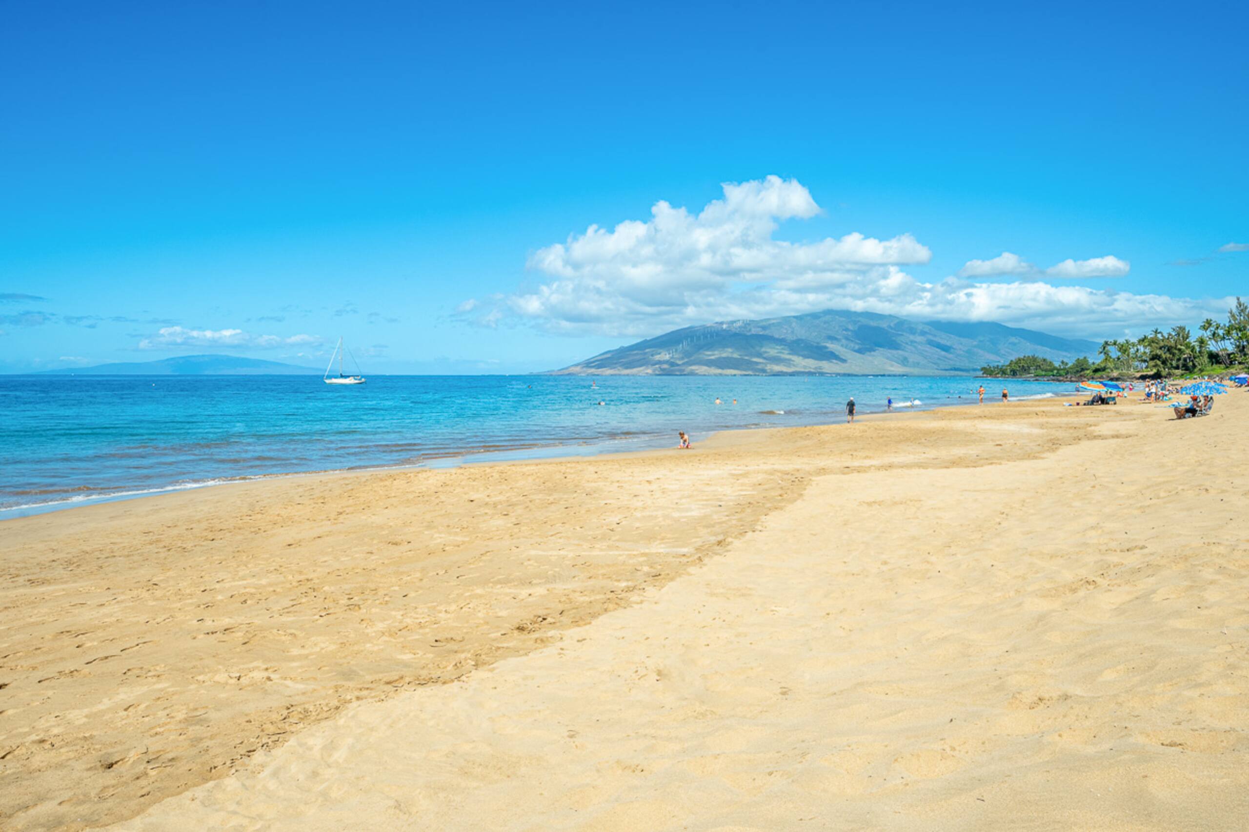 Condo in Kihei · ★4.89 · 1 bedroom · 1 bed · 1 bath - Image 56