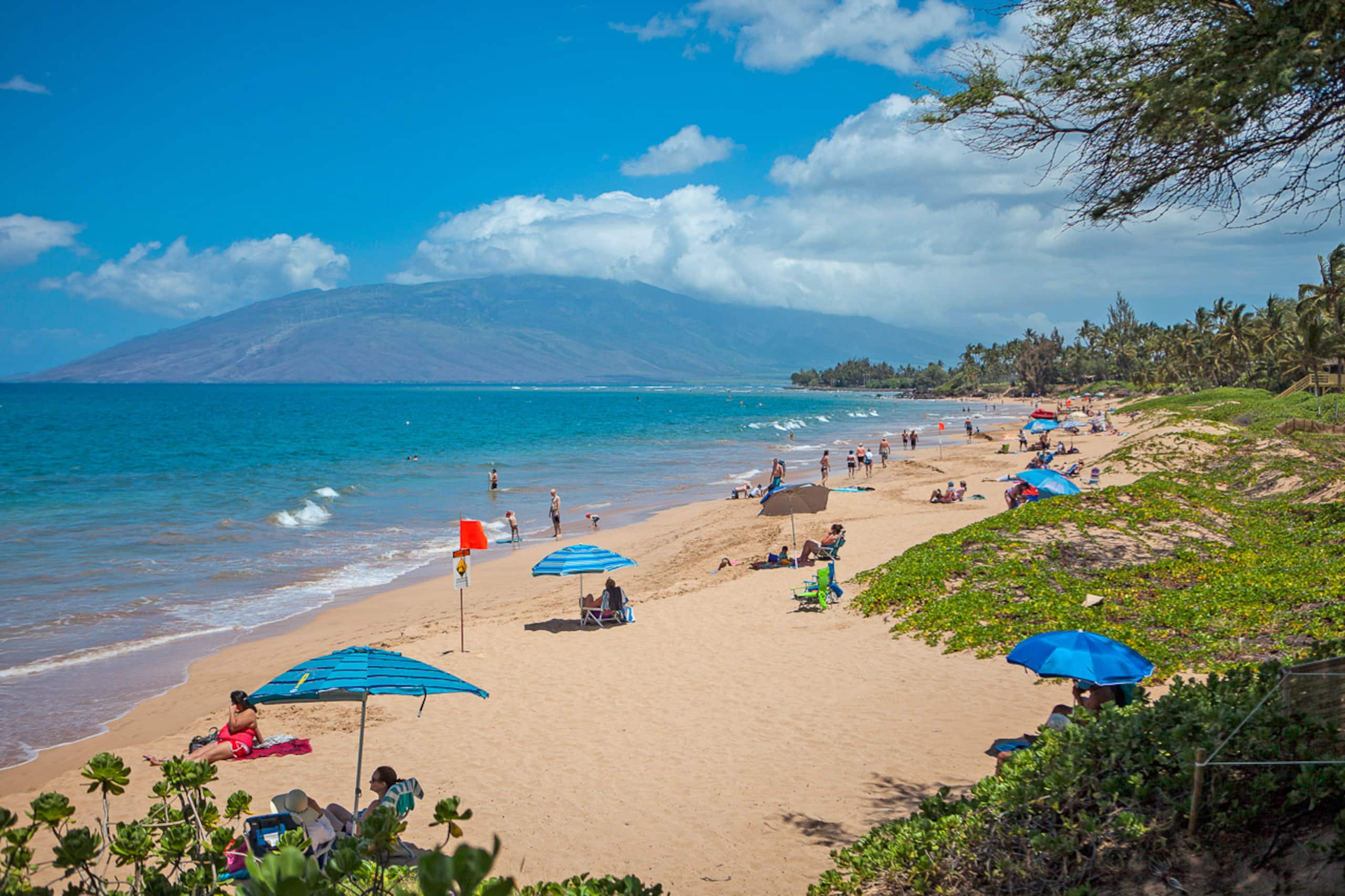Condo in Kihei · ★4.89 · 1 bedroom · 1 bed · 1 bath - Image 42