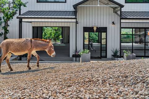 Hill Country Haven w Pool, Sauna, and Pickleball