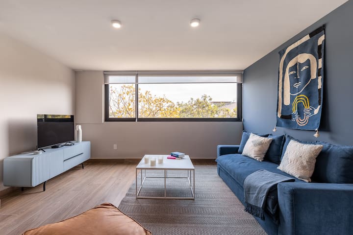 Large Apartment in the Heart of Mexico City |ROMA