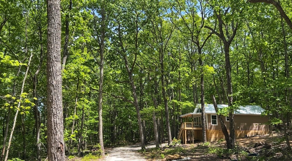 A cabin is nestled amid a lush forest, surrounded by tall green trees. A winding gravel pathway leads to the cabin's entrance, which features a covered porch. Sunlight filters through the foliage, illuminating the tranquil setting.