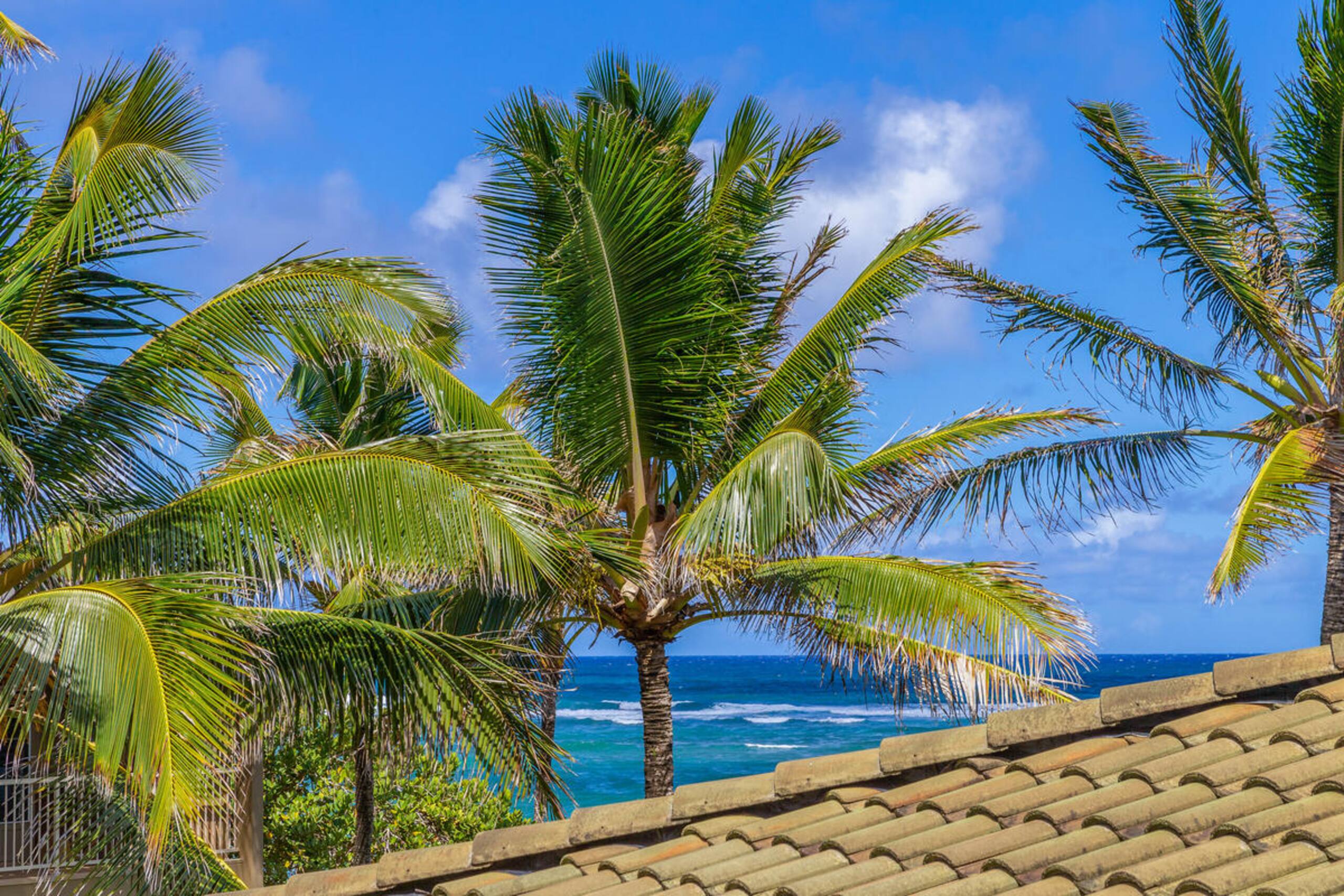Condo in Kapaa · ★5.0 · 1 bedroom · 2 beds · 2 baths - Image 10