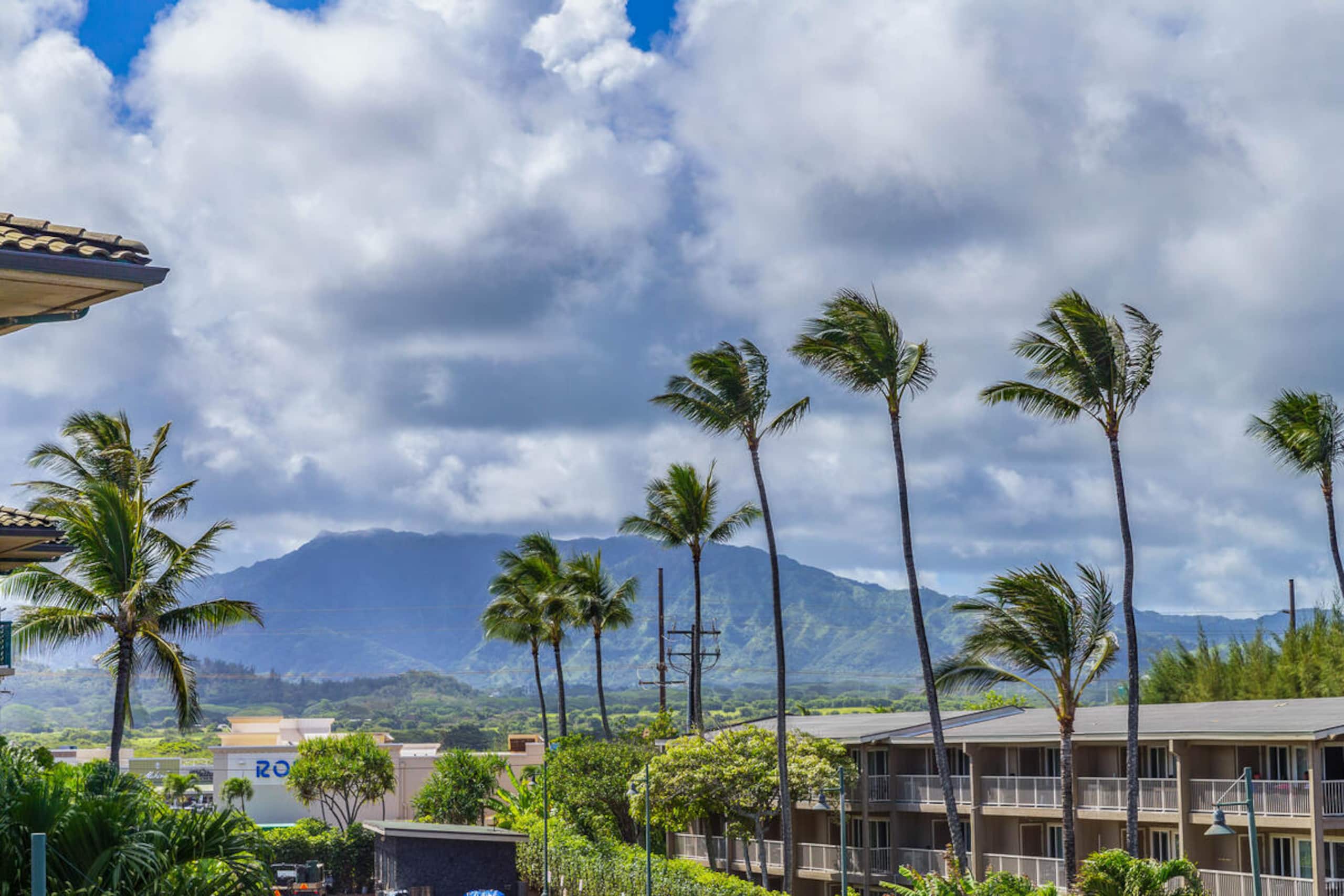 Condo in Kapaa · ★5.0 · 1 bedroom · 2 beds · 2 baths - Image 16