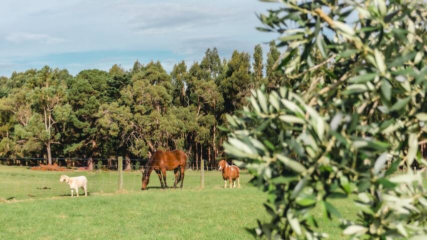 Tucks Rise gallery image 5