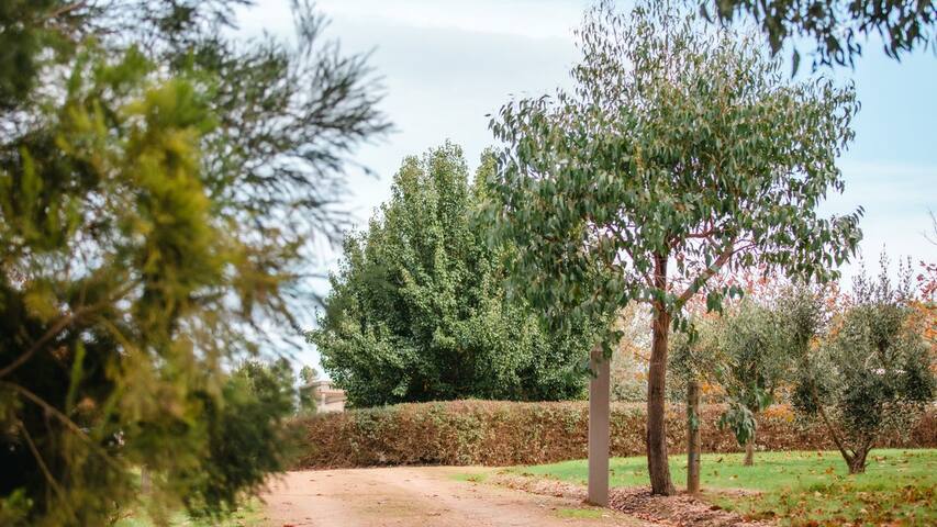 Tucks Rise gallery image 4