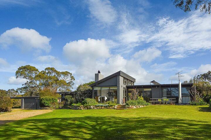 Manna Gum gallery image 3