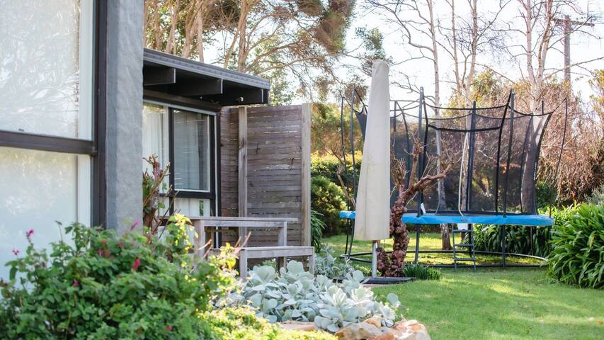 Manna Gum gallery image 4