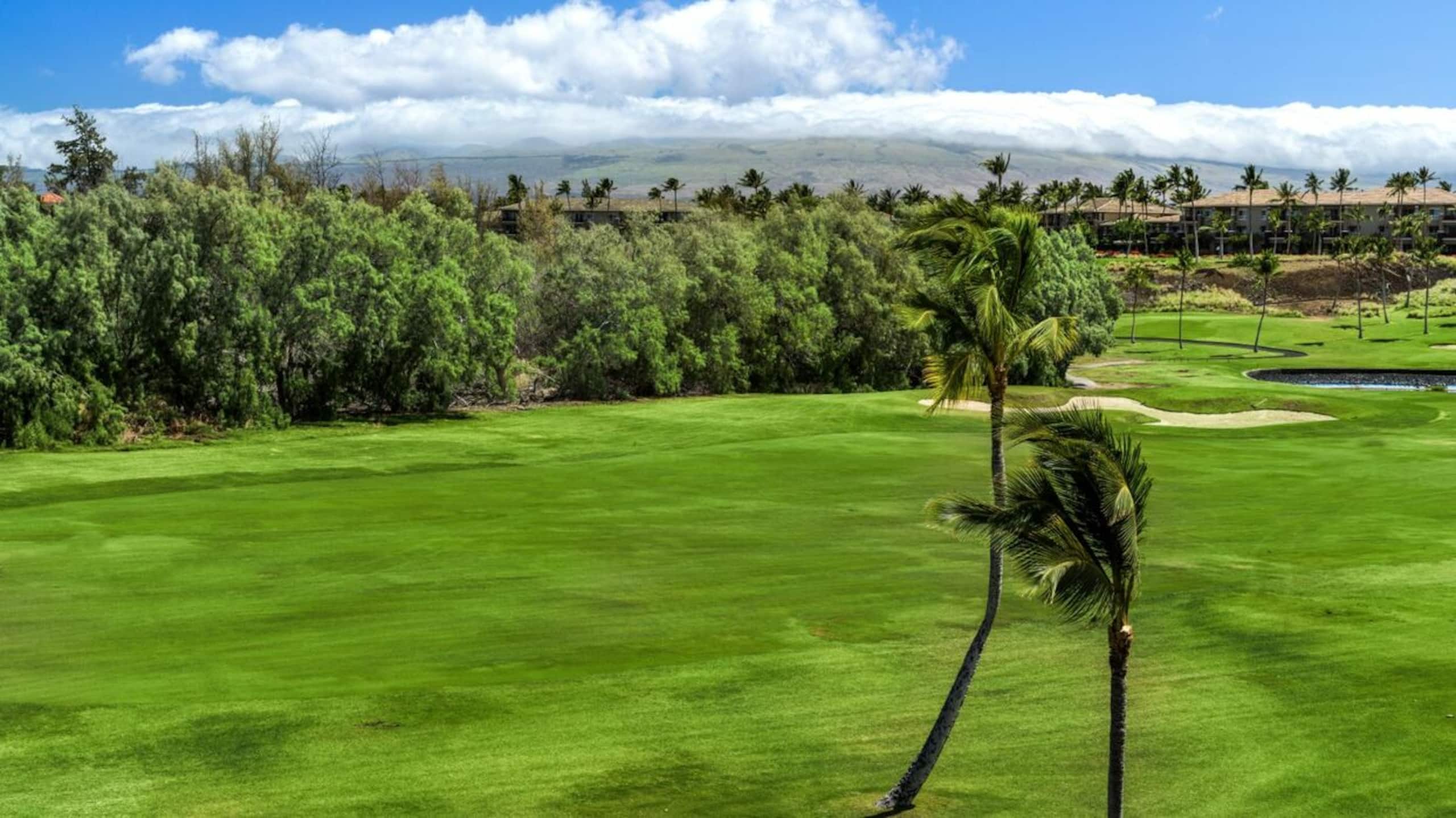 Top-Floor Waikoloa Condo w/ Loft + Golf Views - Photo 43