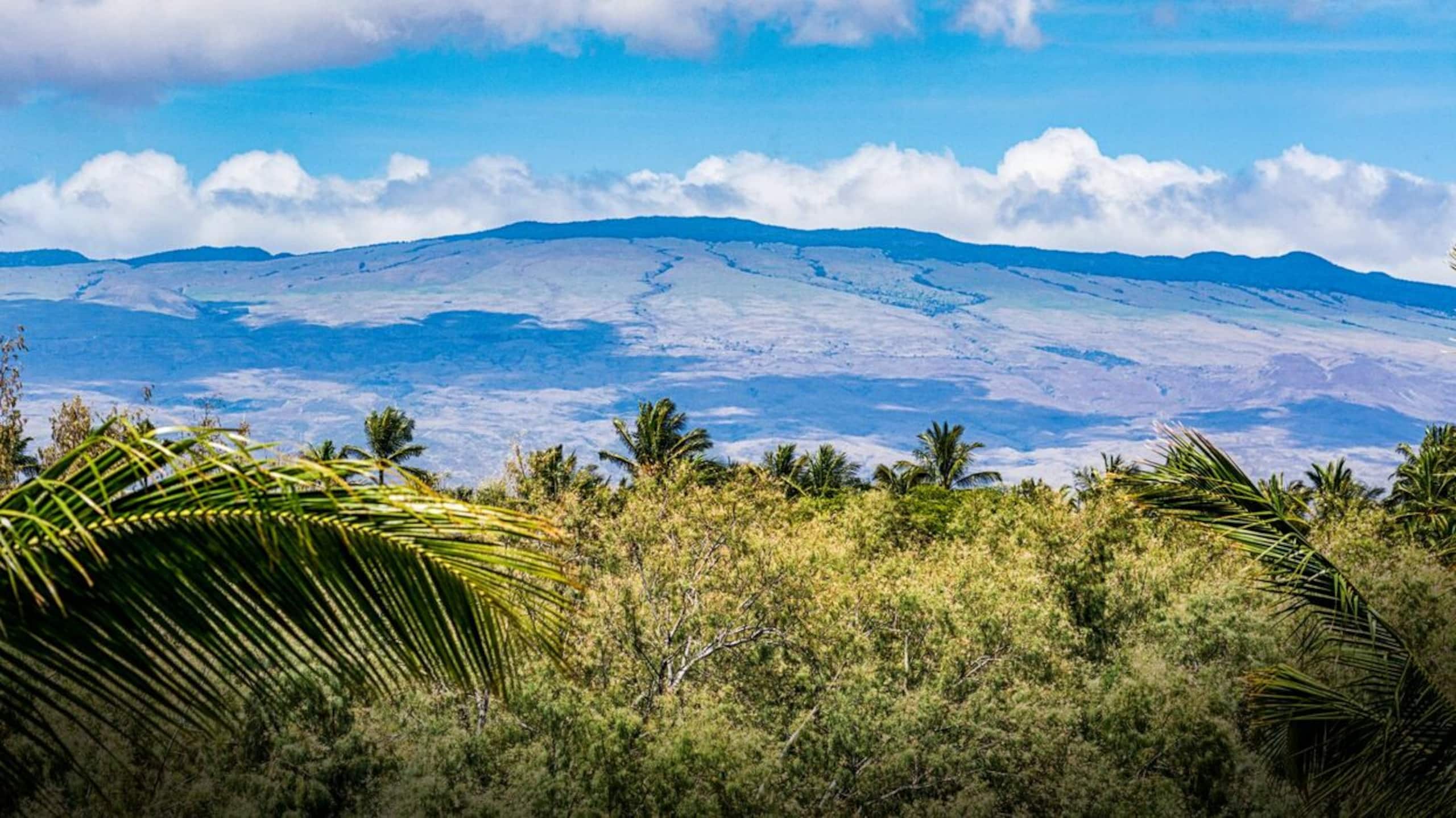 Top-Floor Waikoloa Condo w/ Loft + Golf Views - Photo 38
