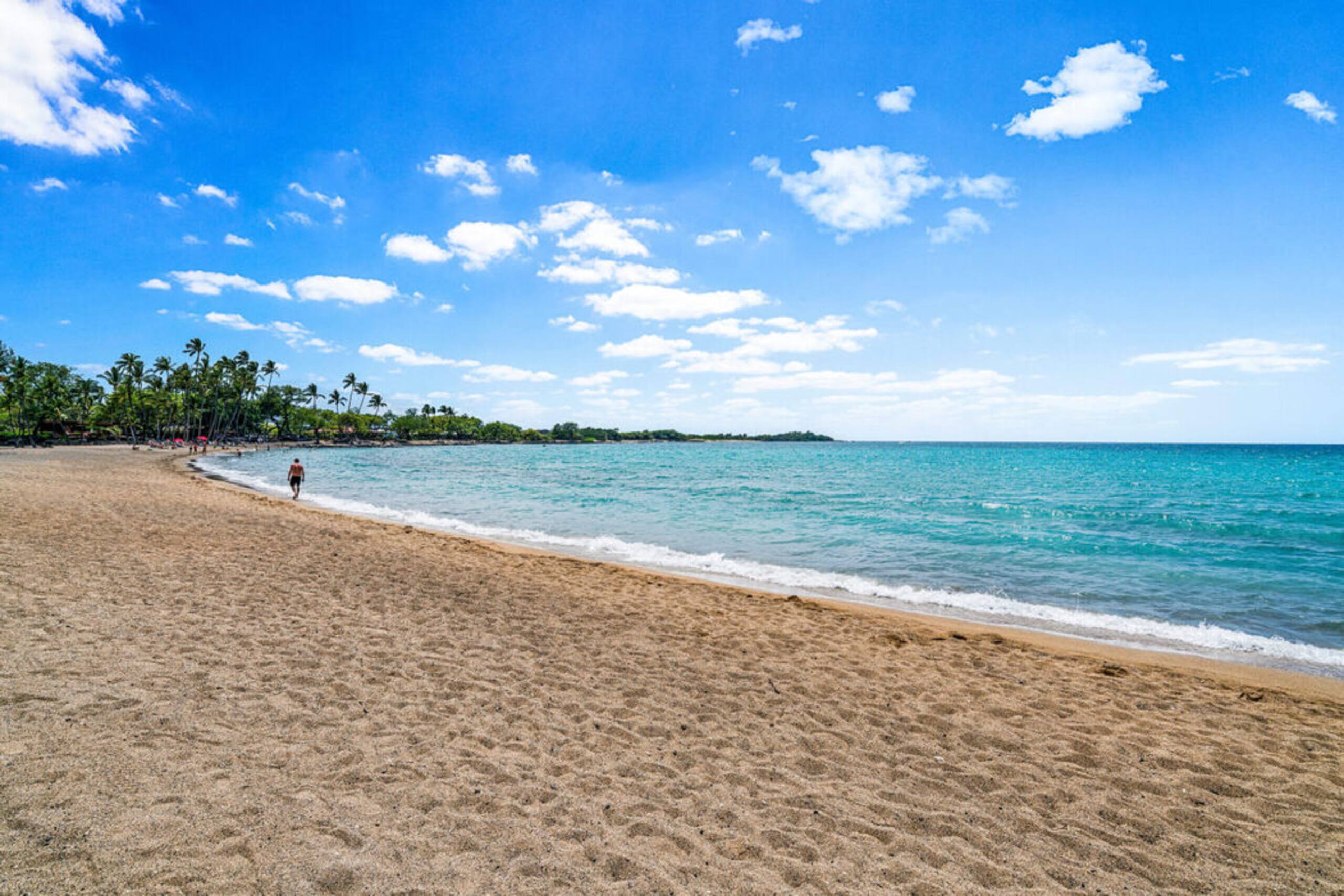 Top-Floor Waikoloa Condo with Golf Views - Photo 42