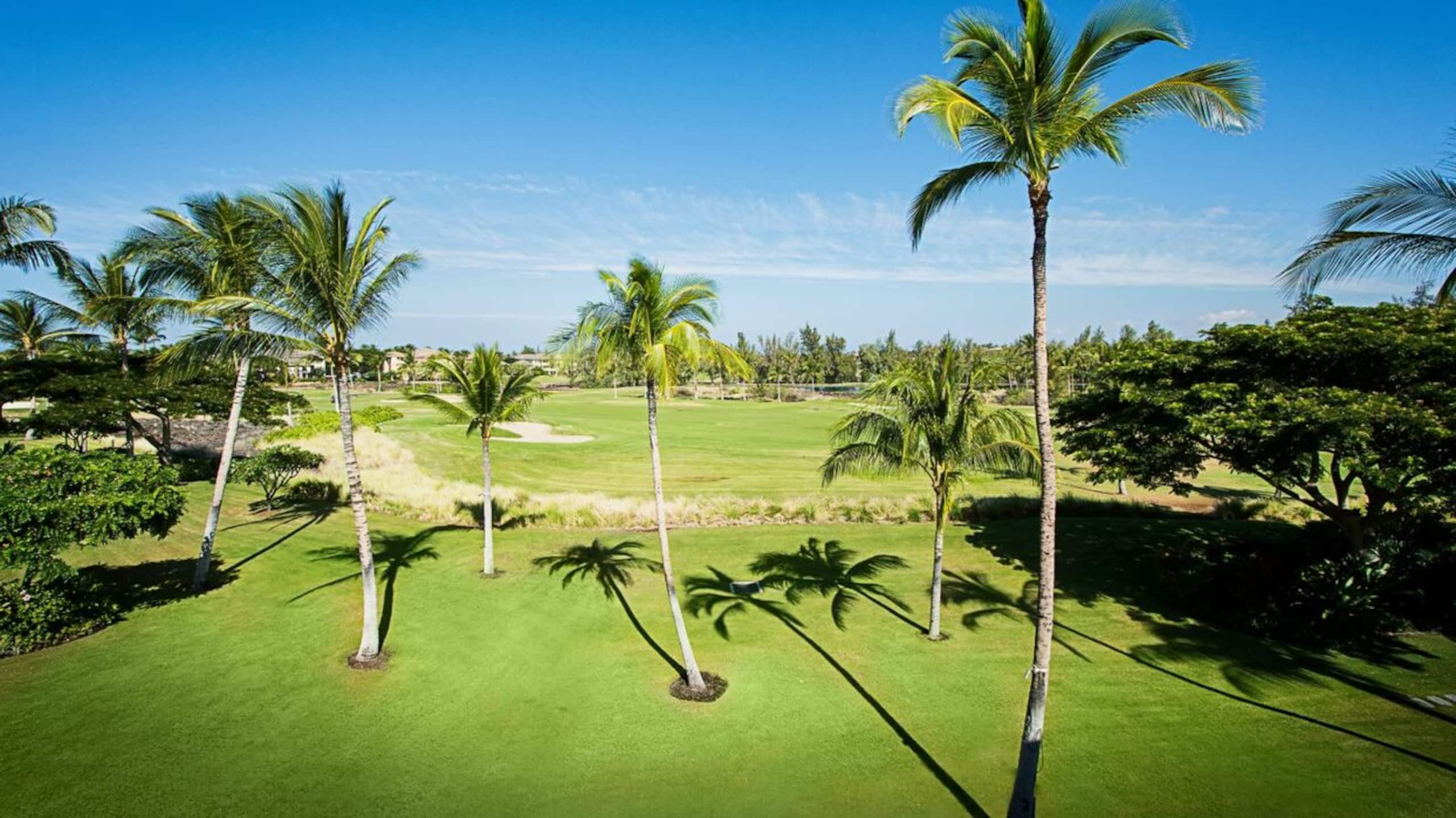 Top-Floor Waikoloa Condo with Golf Views - Photo 8