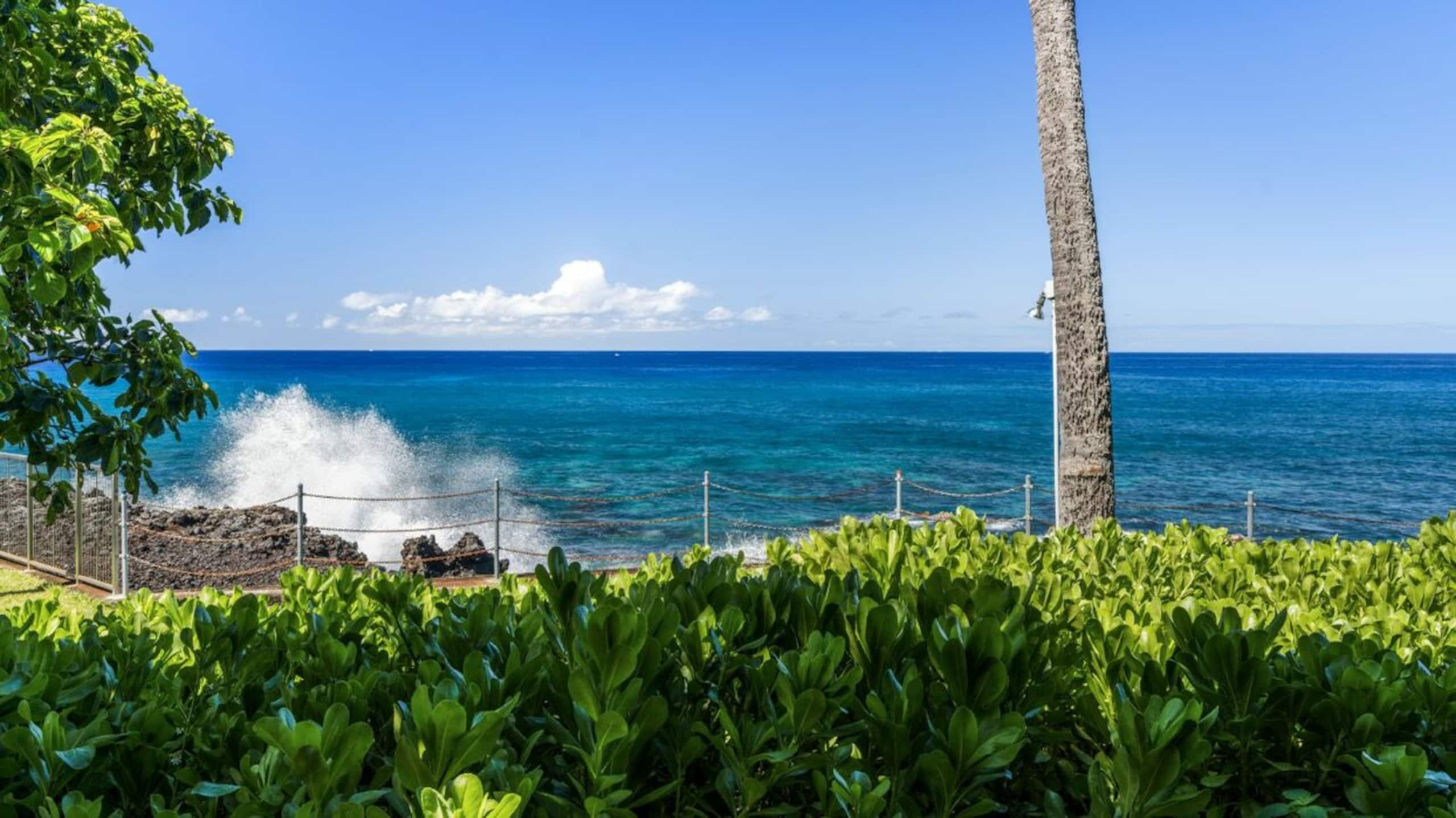 Condo in Kailua-Kona · ★5.0 · 2 bedrooms · 3 beds · 2 baths - Image 43