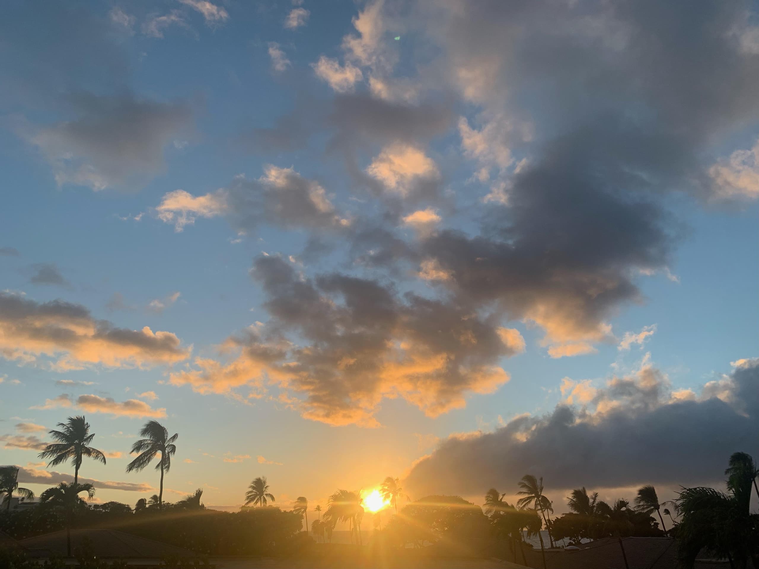 Condo in Lahaina · ★5.0 · 1 bedroom · 2 beds · 2 baths - Image 15