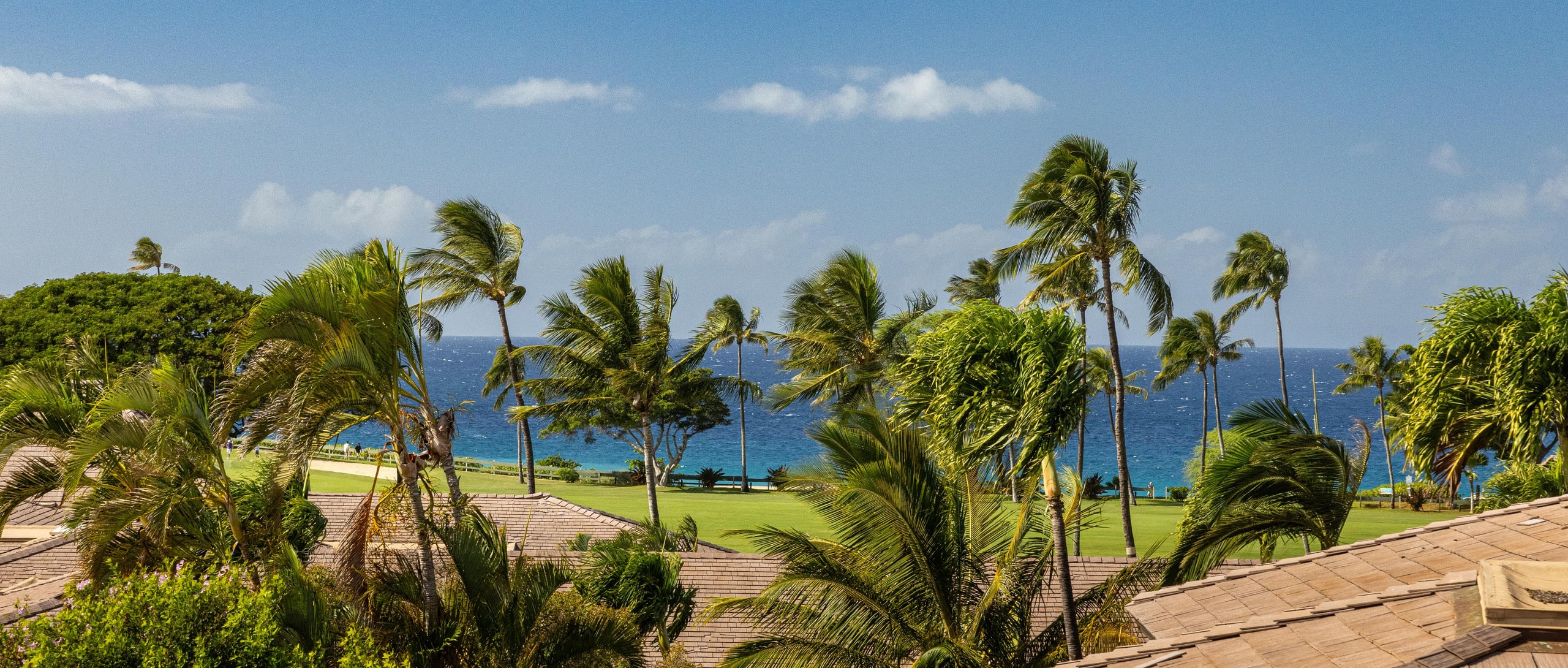 Condo in Lahaina · ★5.0 · 1 bedroom · 2 beds · 2 baths - Image 52