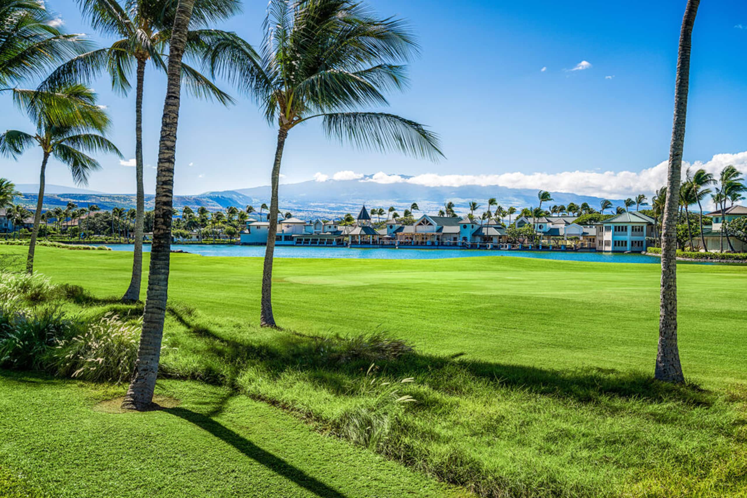 Waikoloa Golf View Condo, Golf Discounts - Photo 36