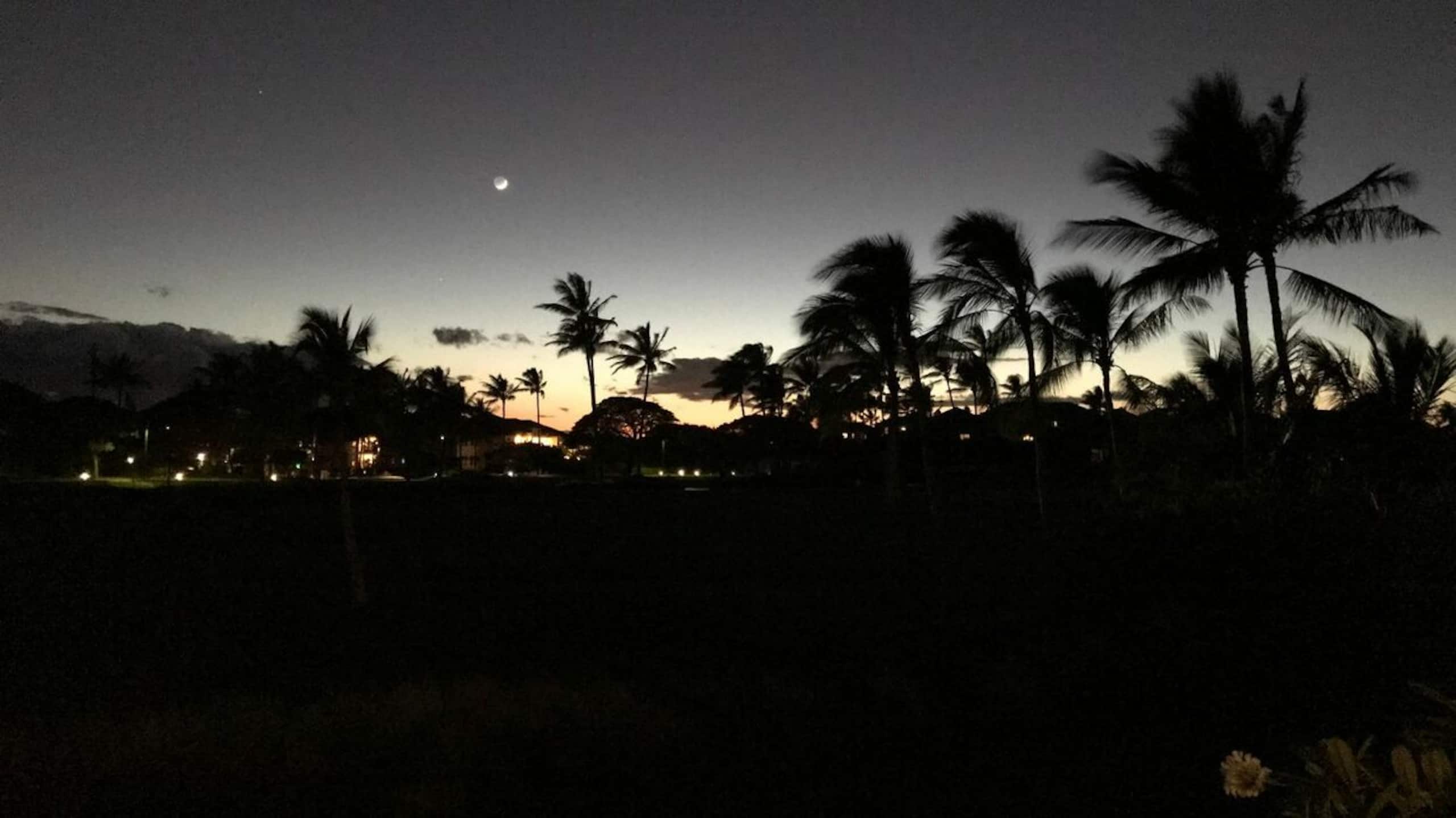 Waikoloa Golf View Condo, Golf Discounts - Photo 22