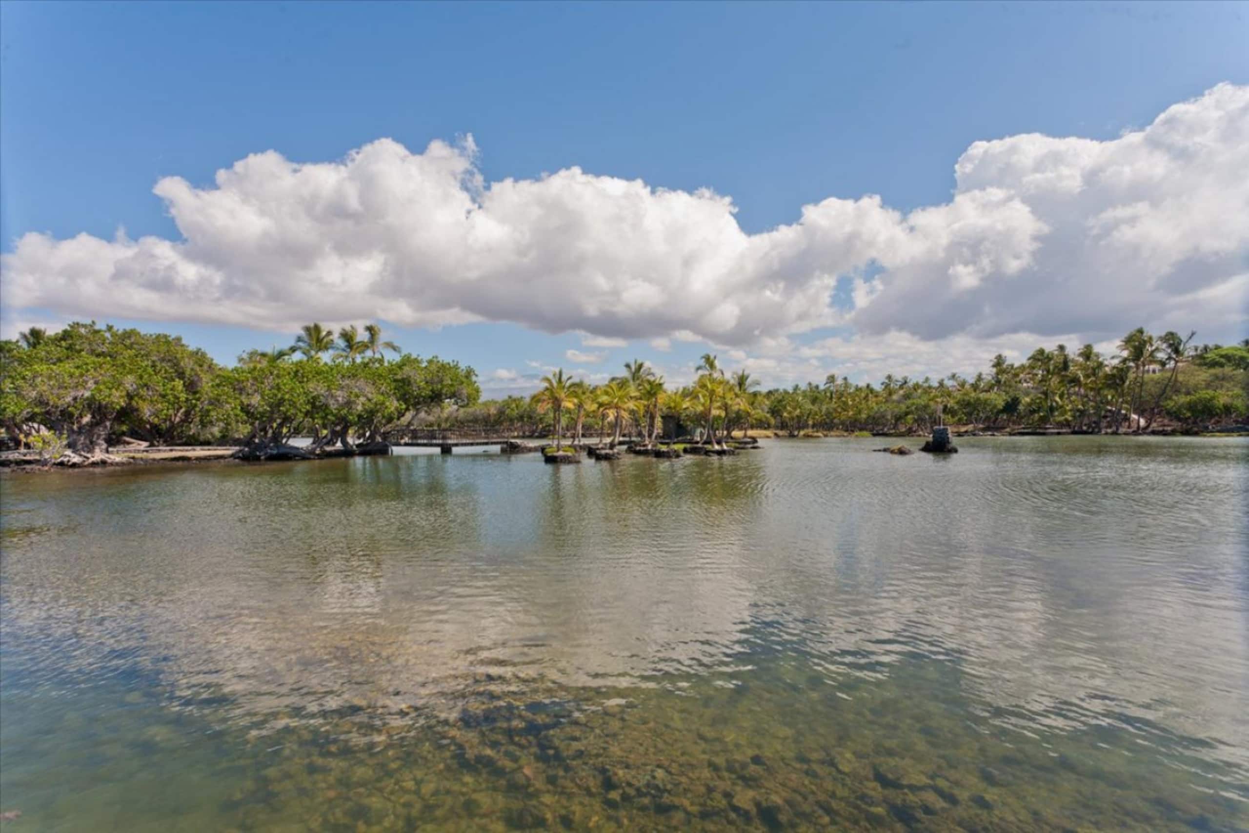 Golf Front Villa - 3 Bed w/ Mauna Lani Beach Club - Photo 45