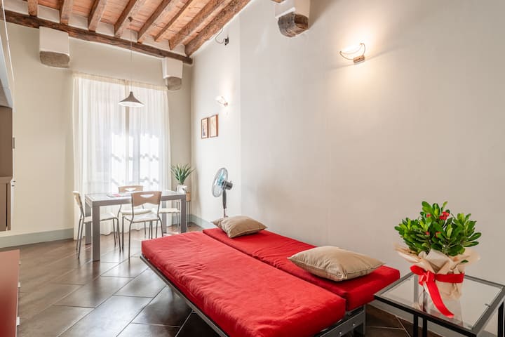 Apartment San Giorgio B - Lucca - Lucca