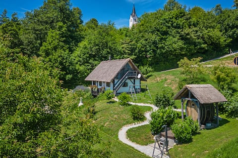 Vineyard Cottage Pavlin 2 - Happy.Rentals
