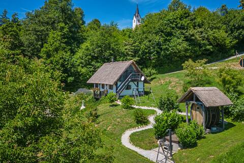 Vineyard Cottage Pavlin 2 - Happy.Rentals