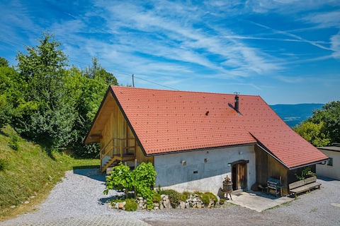 Vineyard Cottage Pavlin 3 - Happy.Rentals