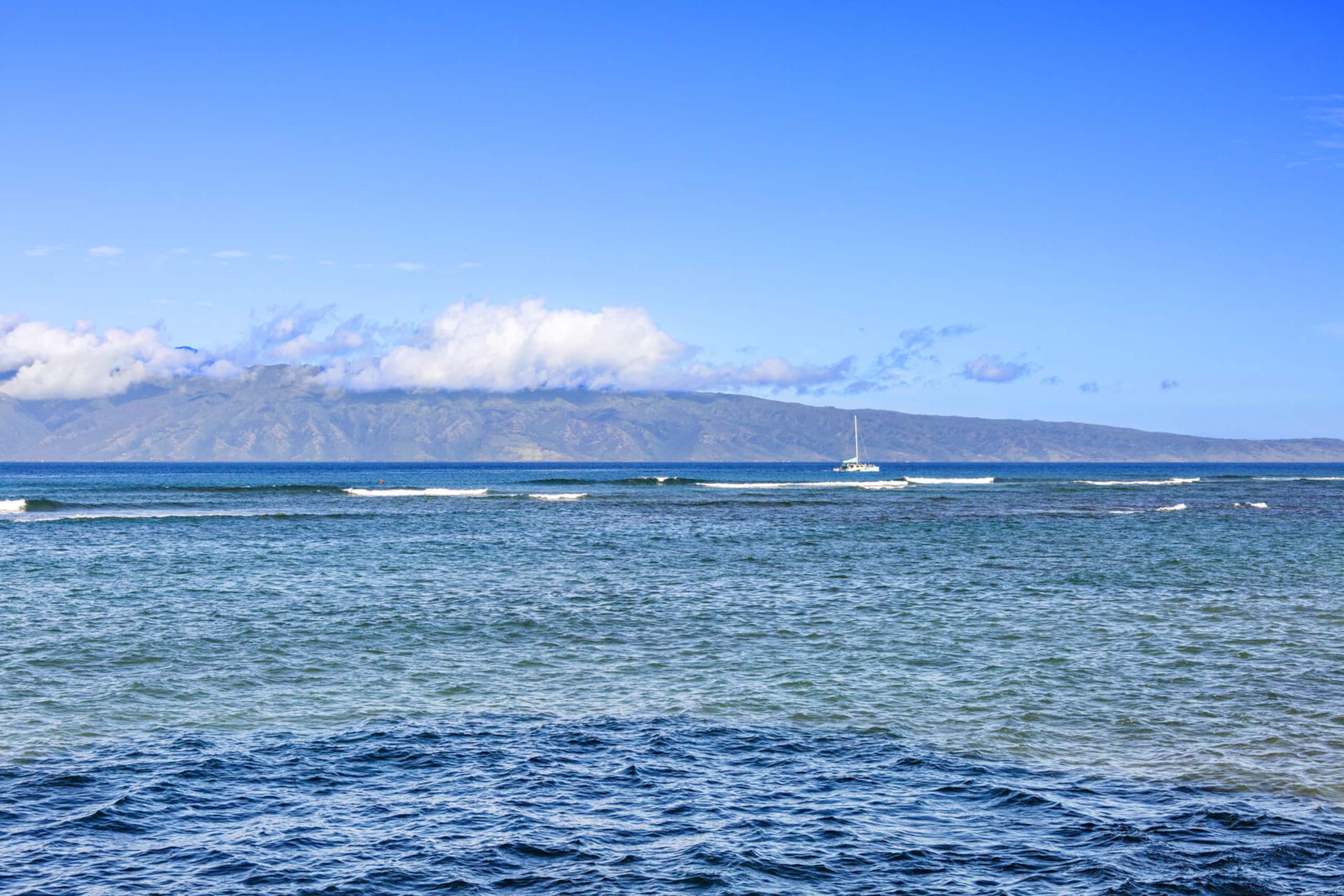 Condo in Lahaina · ★4.93 · 2 bedrooms · 2 beds · 2 baths - Image 42