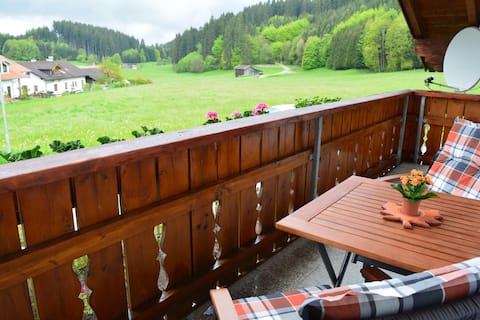 Apartment with mountain view (Haus letzte Rose)