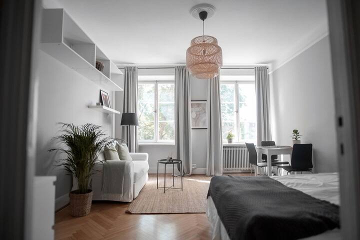 cozy studio in great location in Vasastan