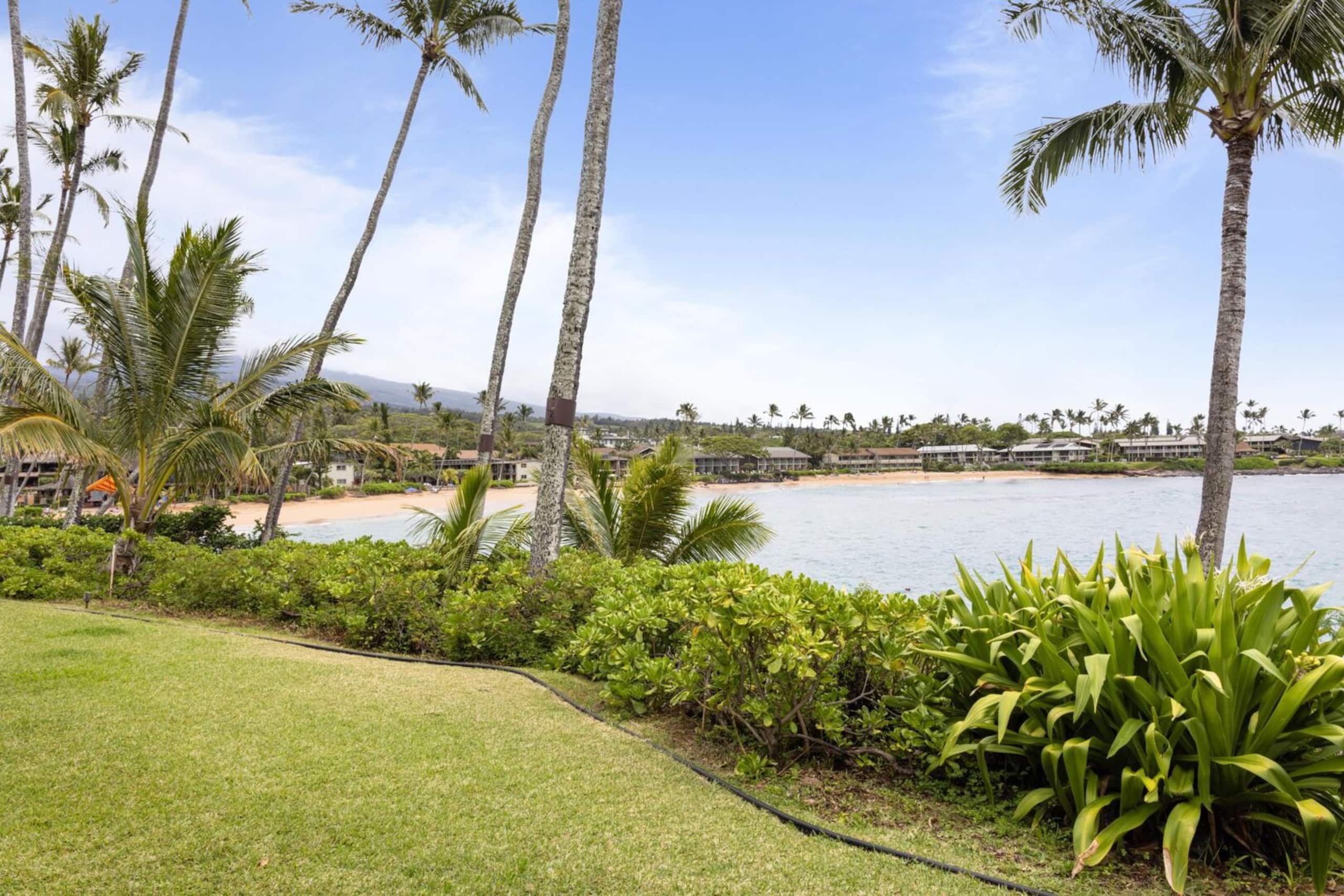 Condo in Lahaina · ★4.57 · 2 bedrooms · 2 beds · 2 baths - Image 40