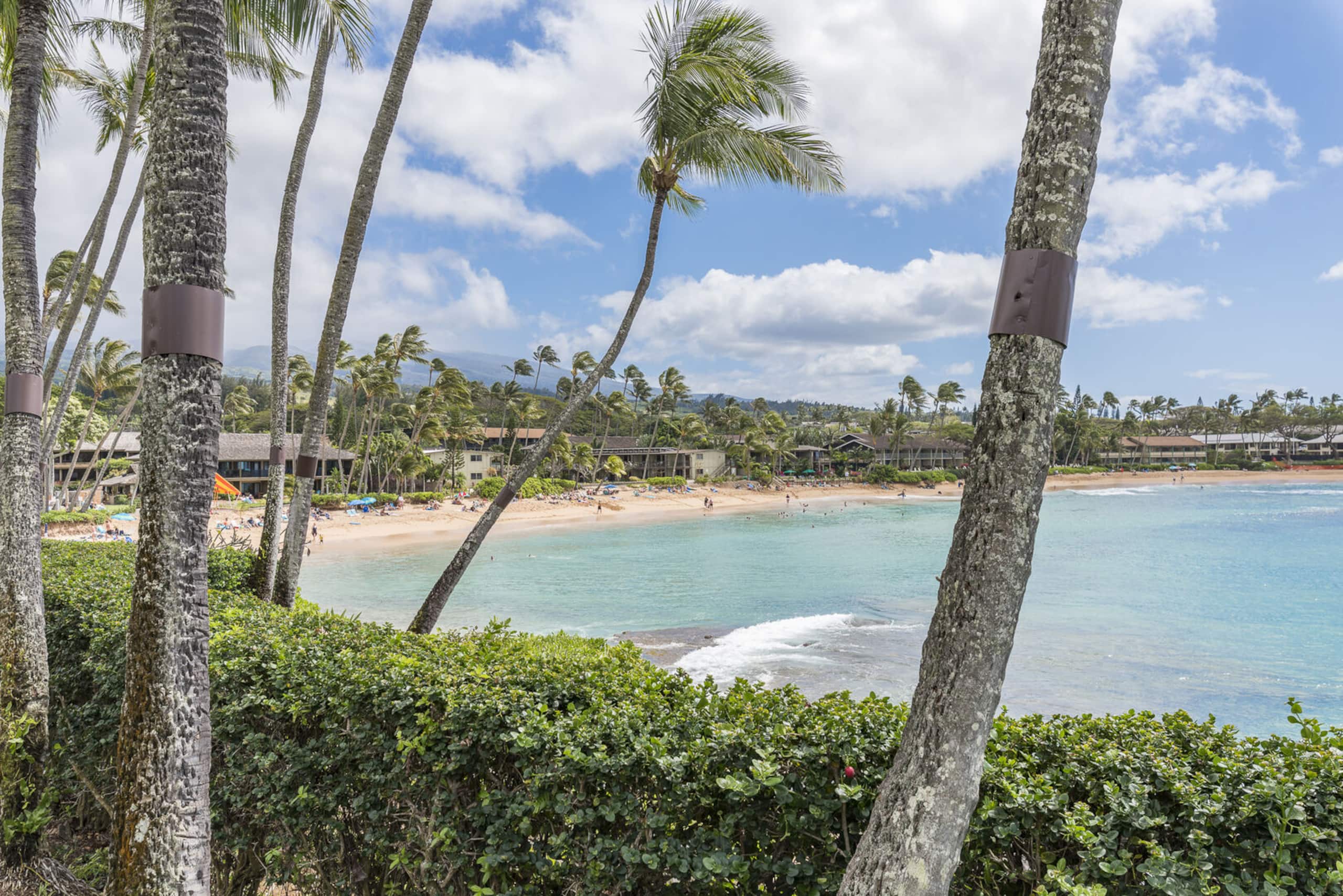 Condo in Lahaina · ★4.57 · 2 bedrooms · 2 beds · 2 baths - Image 39