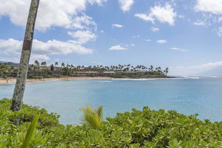 Oceanfront Napili Lani 315 ~ Steps to Napili Bay gallery image 2
