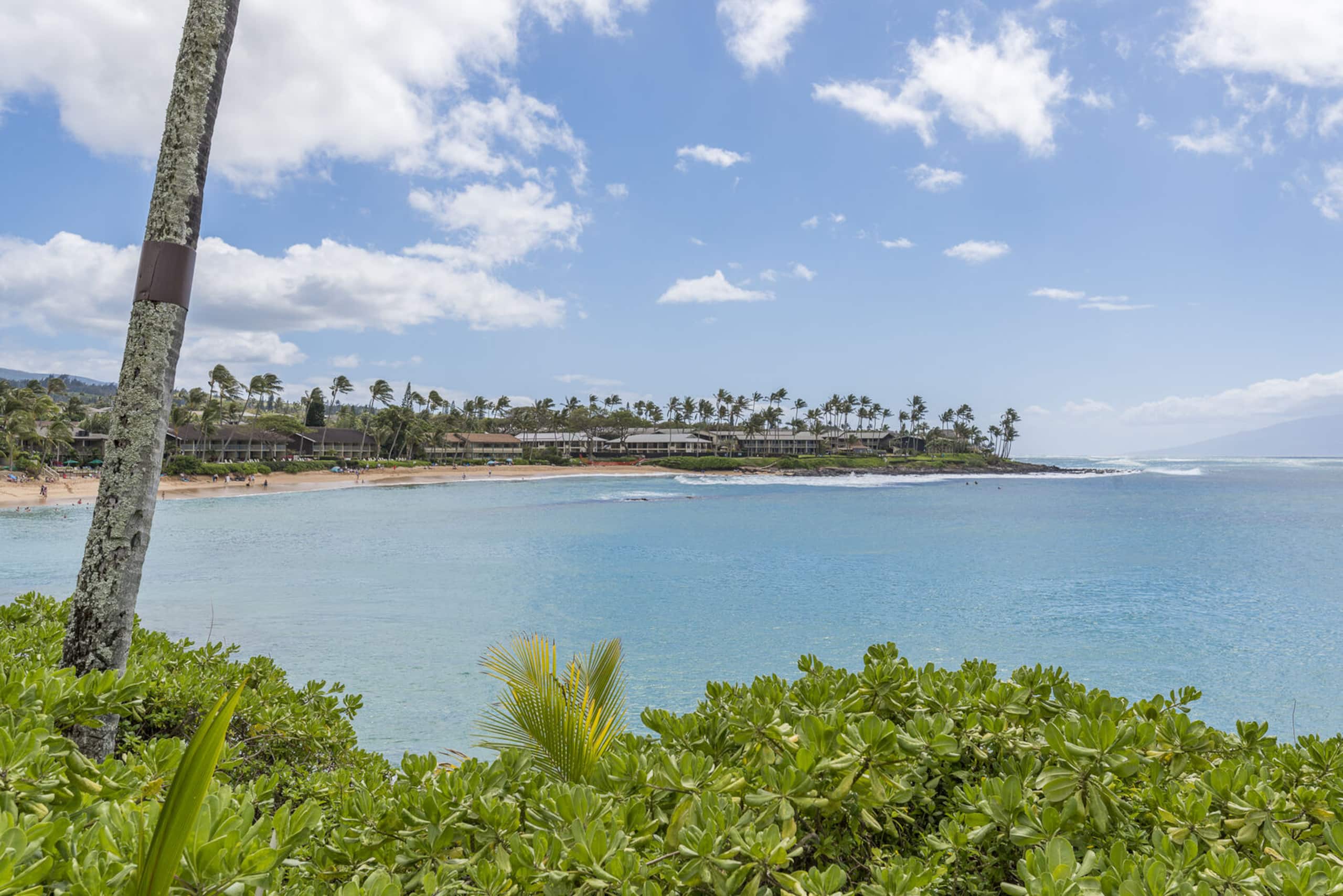 Condo in Lahaina · ★4.57 · 2 bedrooms · 2 beds · 2 baths - Image 1