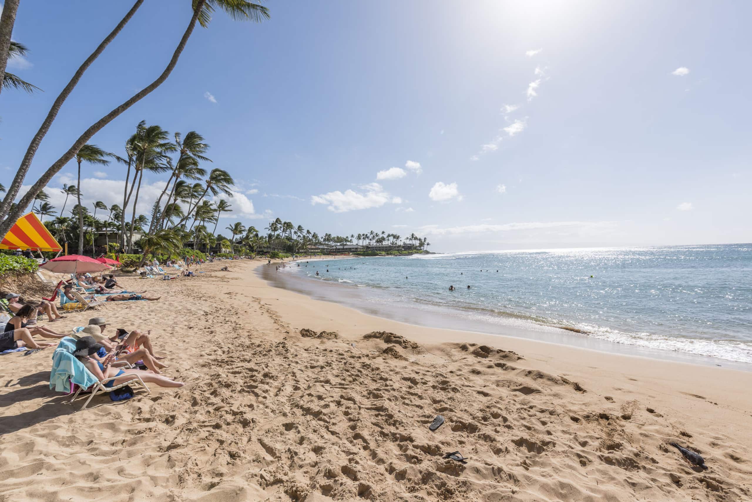Home in Lahaina · ★5.0 · 1 bedroom · 2 beds · 2 baths - Image 59