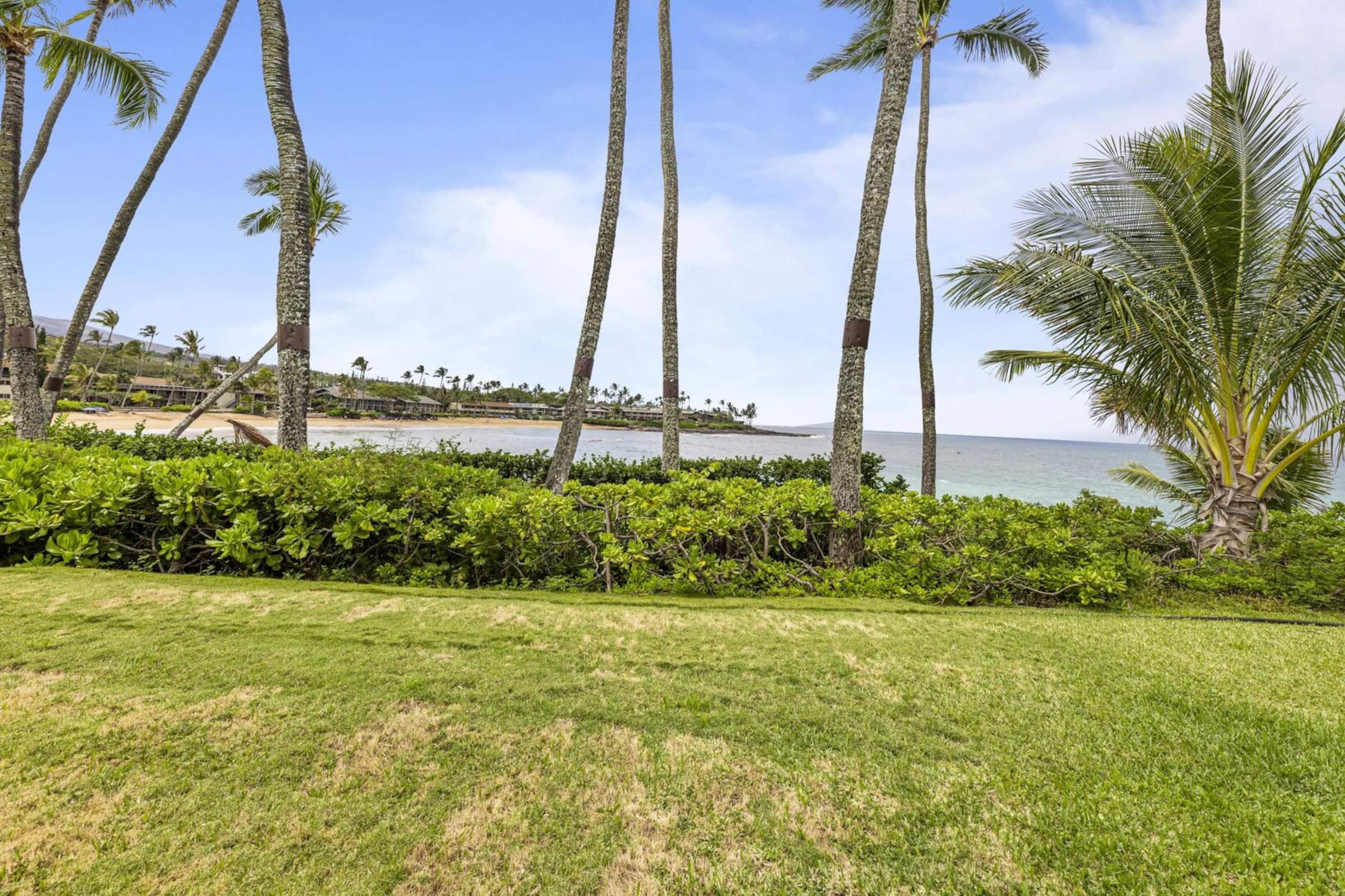 Home in Lahaina · ★5.0 · 1 bedroom · 2 beds · 2 baths - Image 58
