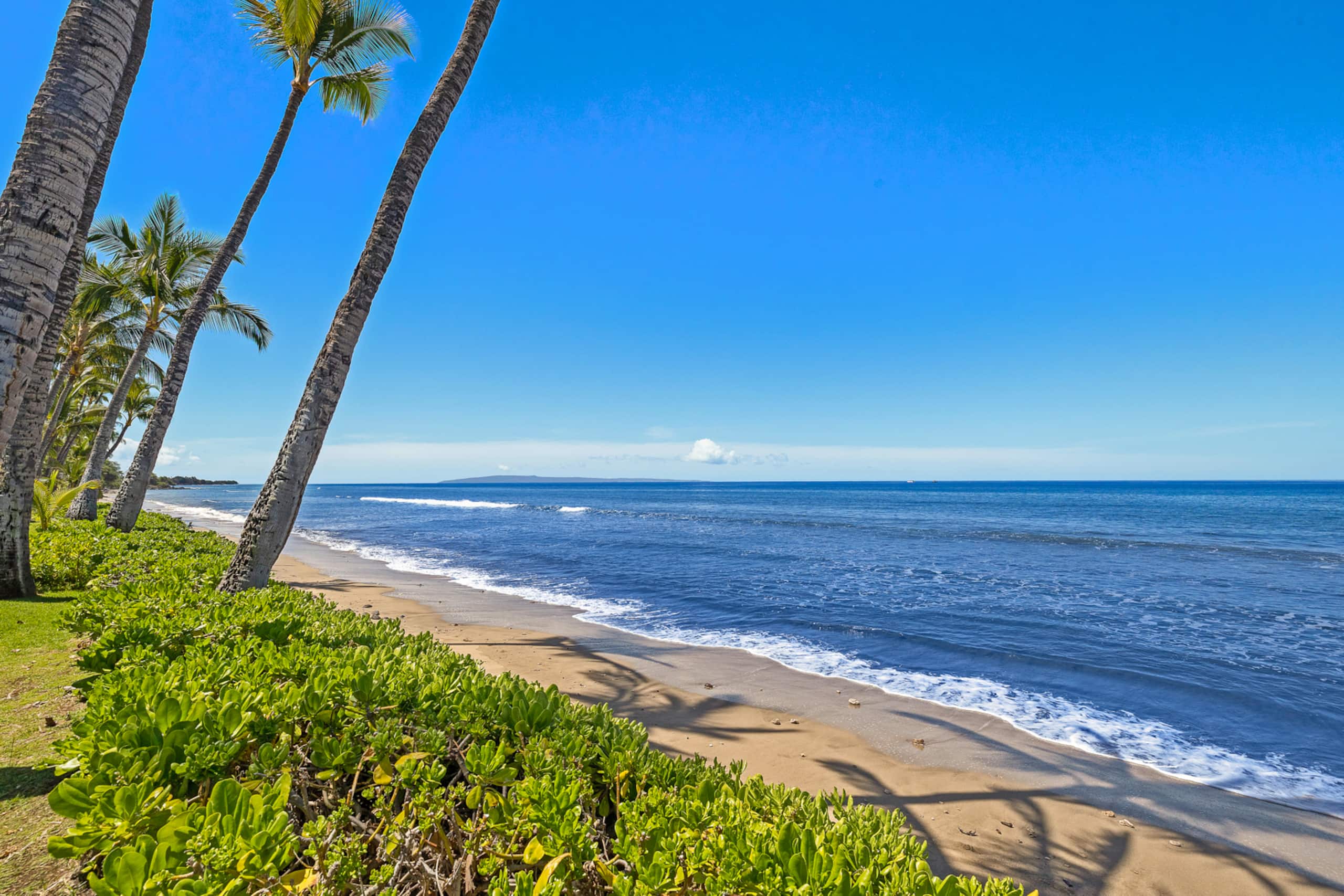 Home in Lahaina · ★5.0 · 4 bedrooms · 5 beds · 4.5 baths - Image 10